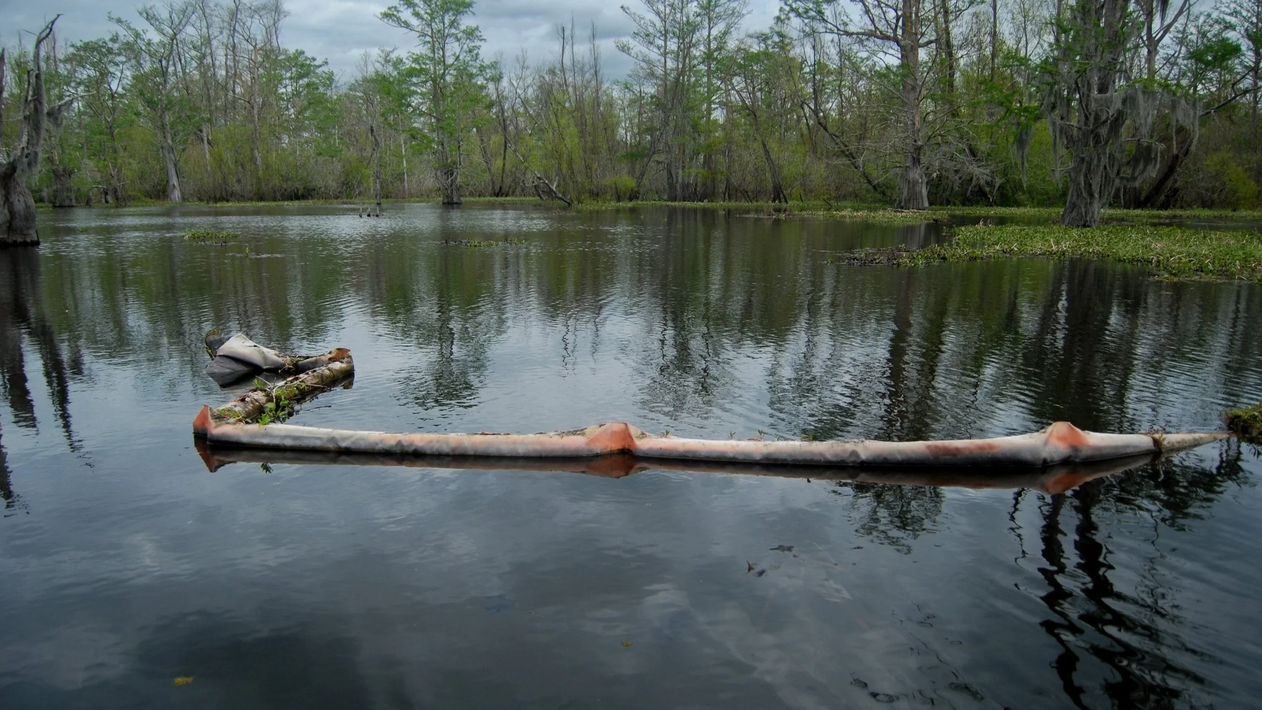 AtchafalayaMar2023-11.jpg