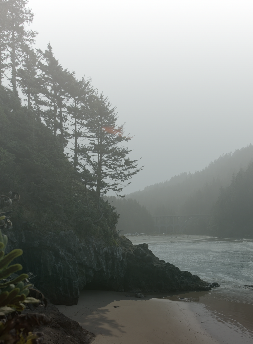 Screenshot 2026-02-27 at 1.12.42 PM.png