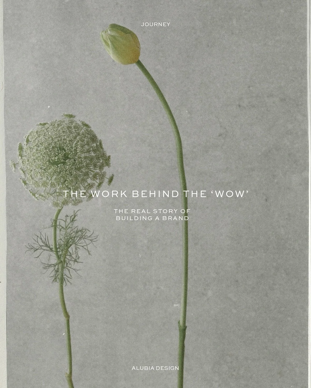 People often only see the final product - the polished logo, the sleek website, the cohesive Instagram feed. But what they don’t see is everything that goes into it.
They don’t see the hours spent researching, the back-and-forth refining