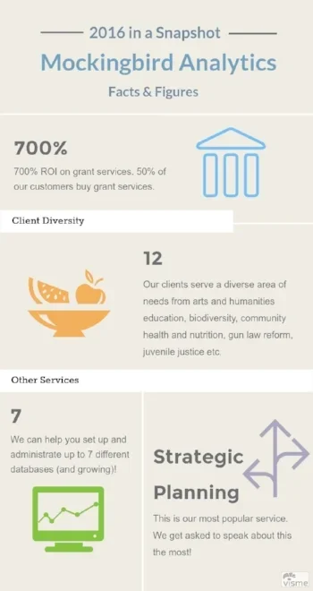 An infographic about Mockingbird Analytics 2016 stats