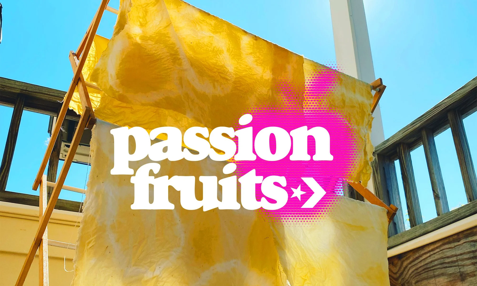 Passion Fruits Interview
