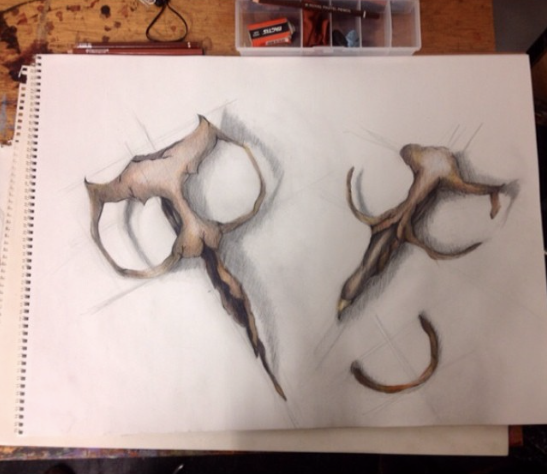 Screen Shot 2022-08-22 at 11.17.48 PM.png