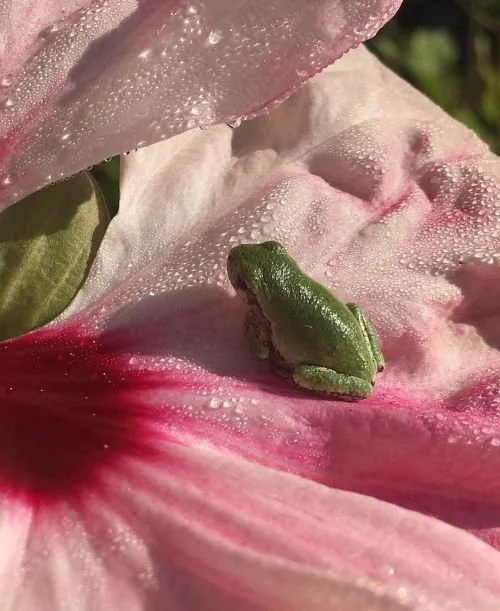 Sapphic Sensory Soirée Toronto March 21
