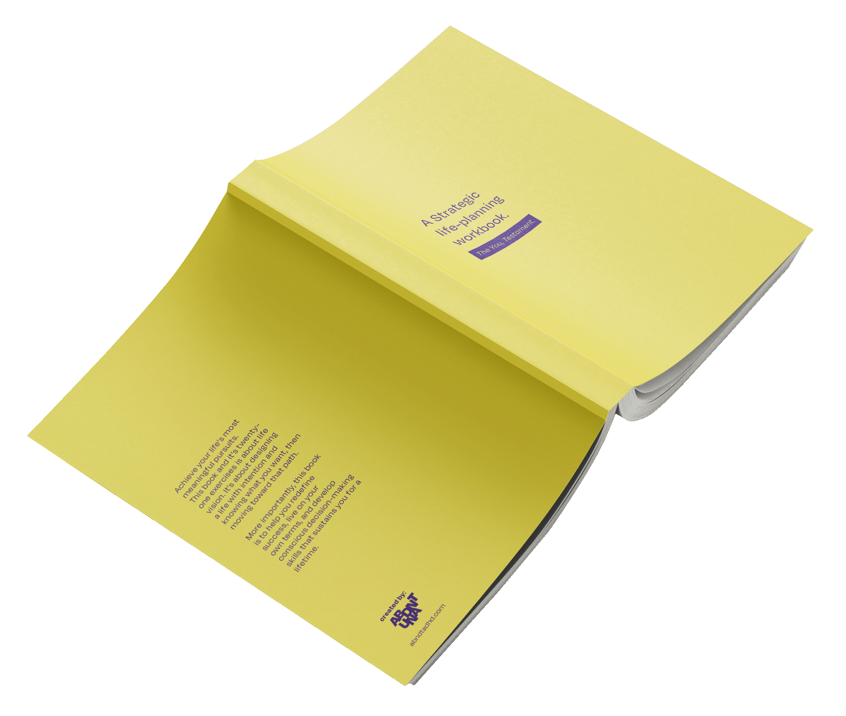 softcover-full-back-spread-transparent.png