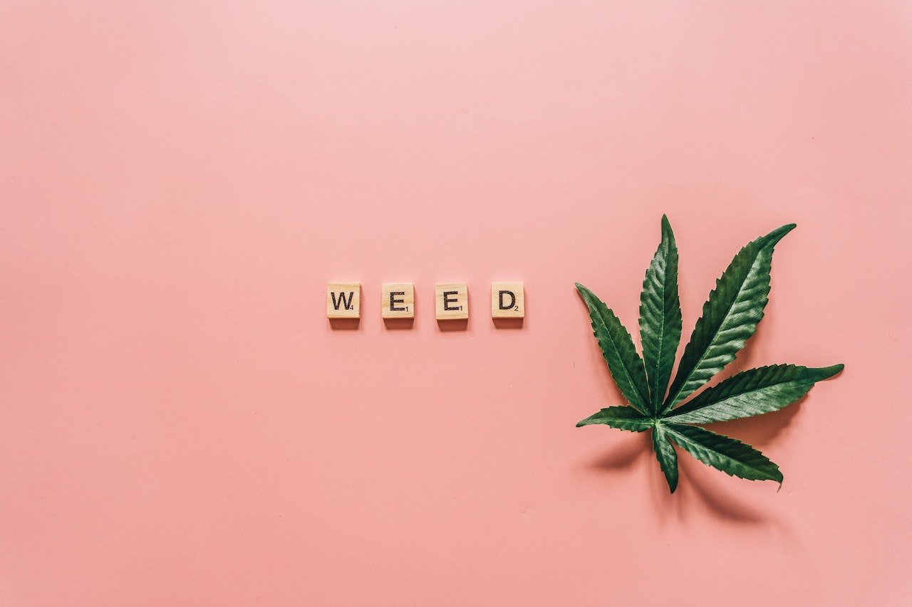 letters and weed flower with a pink background