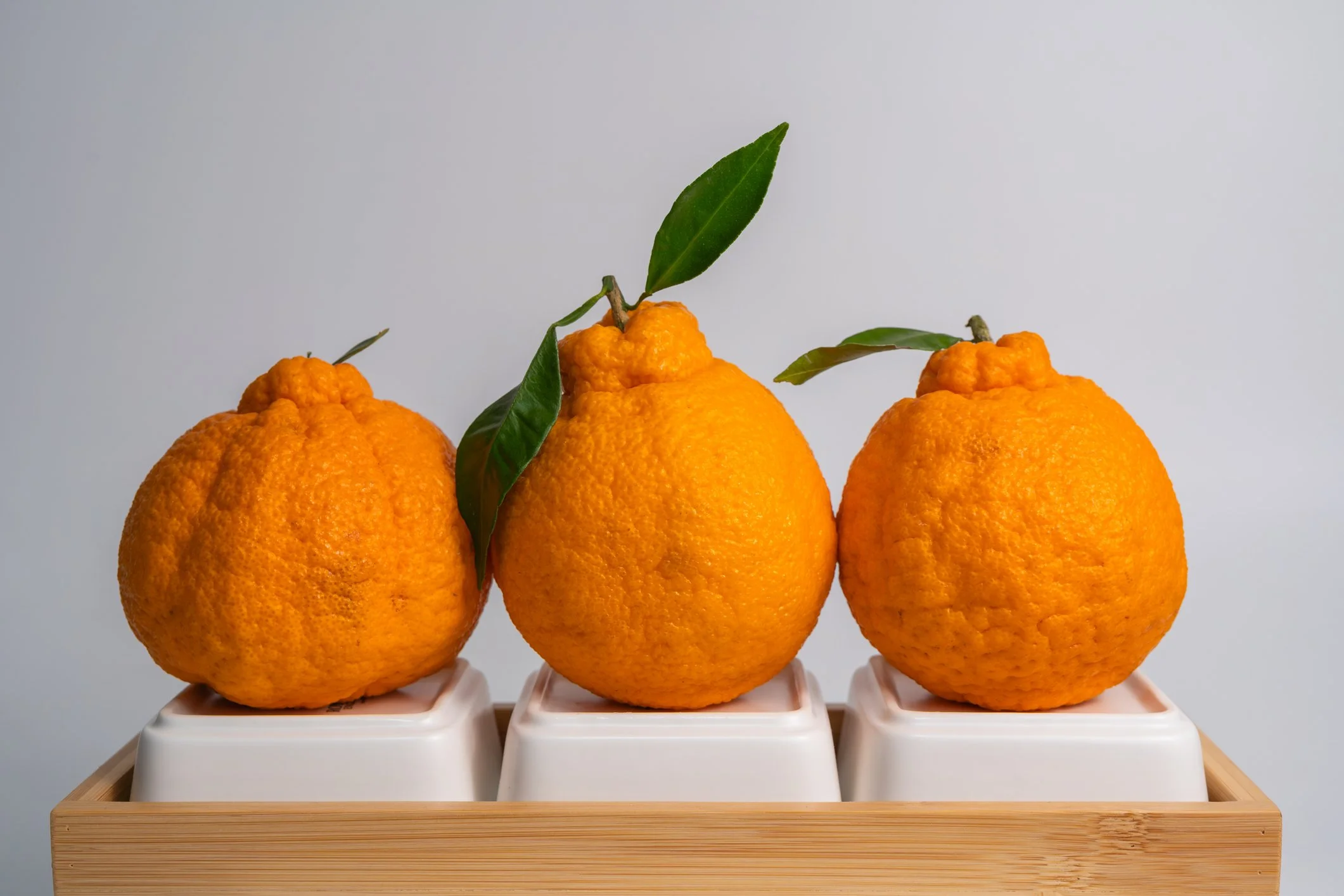 Banking, Food, Friendship, Sumo Oranges & Alex Guarnaschelli. It all flows together on Hummingbird! Click thru. By Sandra Novick.