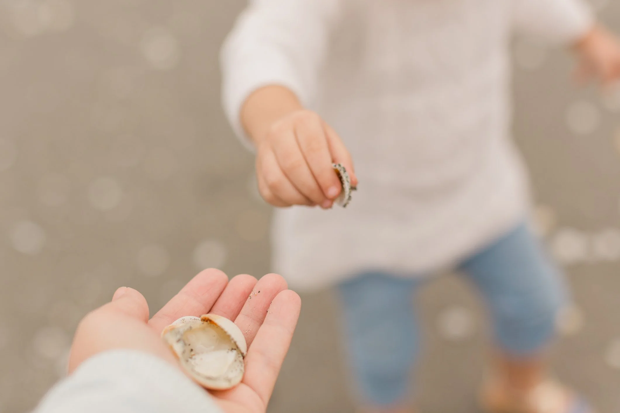 The Shell Hunter. Pure Goodness. An anecdote about receiving an unexpected “gift.” By Barry Novick.
