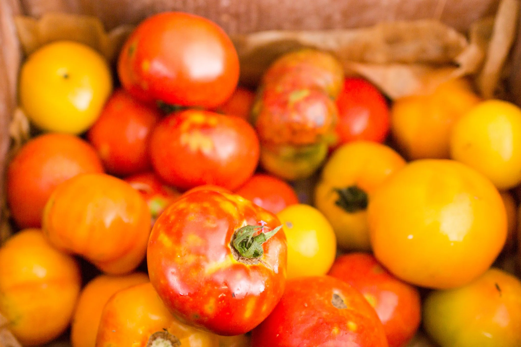 Hummingbird Recipe. Fresh 30 MinuteTomato Sauce With Herbs