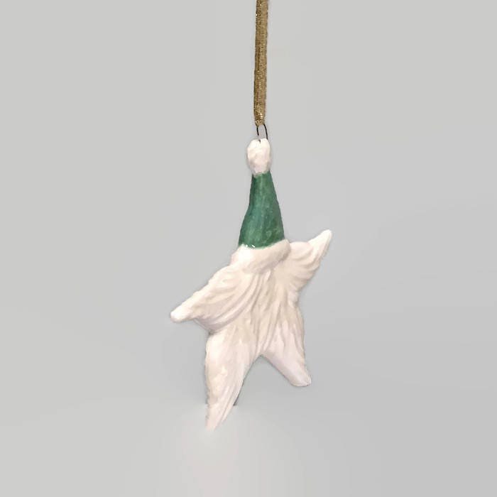 https://i.etsystatic.com/5558422/r/il/23d77b/1360833696/il_fullxfull.1360833696_cv7z.jpg