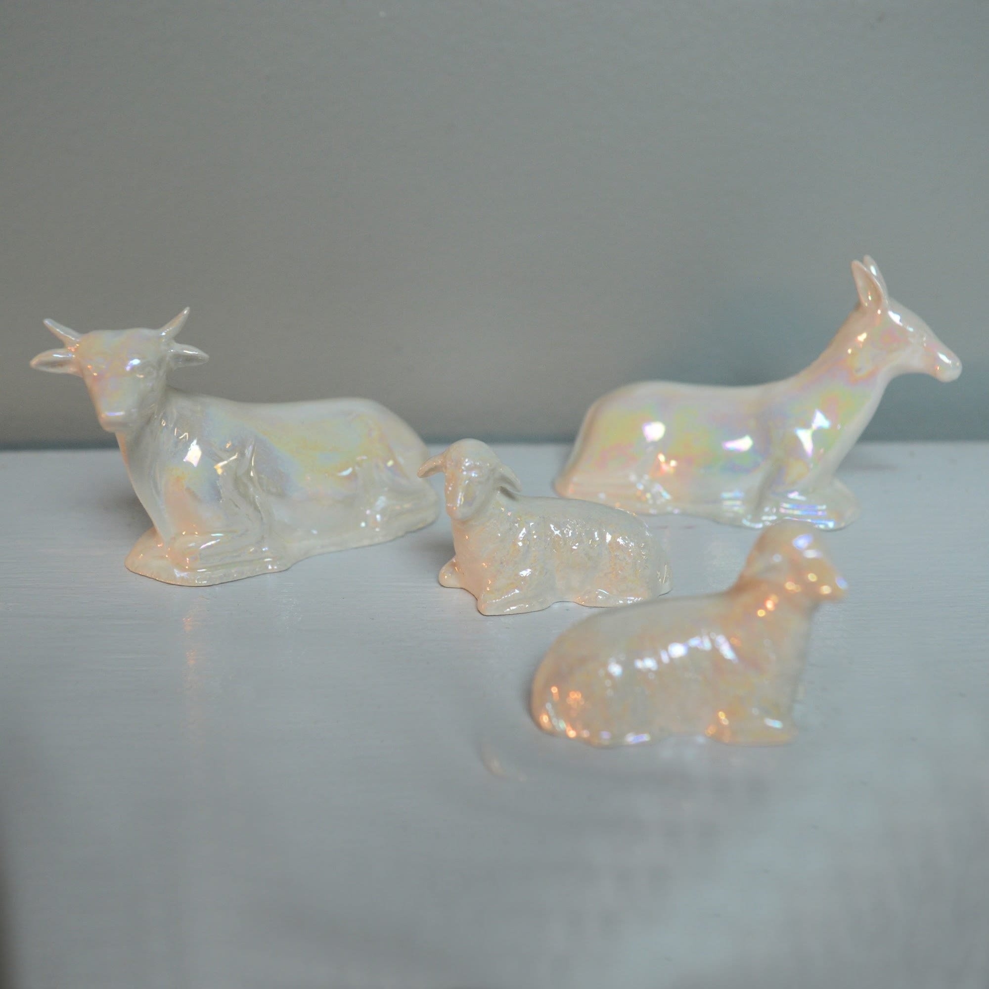 https://i.etsystatic.com/5558422/r/il/529db1/4045391748/il_fullxfull.4045391748_rphw.jpg