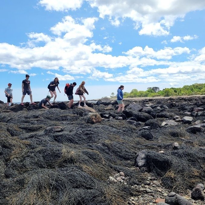 Middle School Field Trip to Odiorne Point State Park! 🌊⛅️🐚

#middleschool #fieldtrip #odiornepoint #statepark #nature #explore #experiential #fun