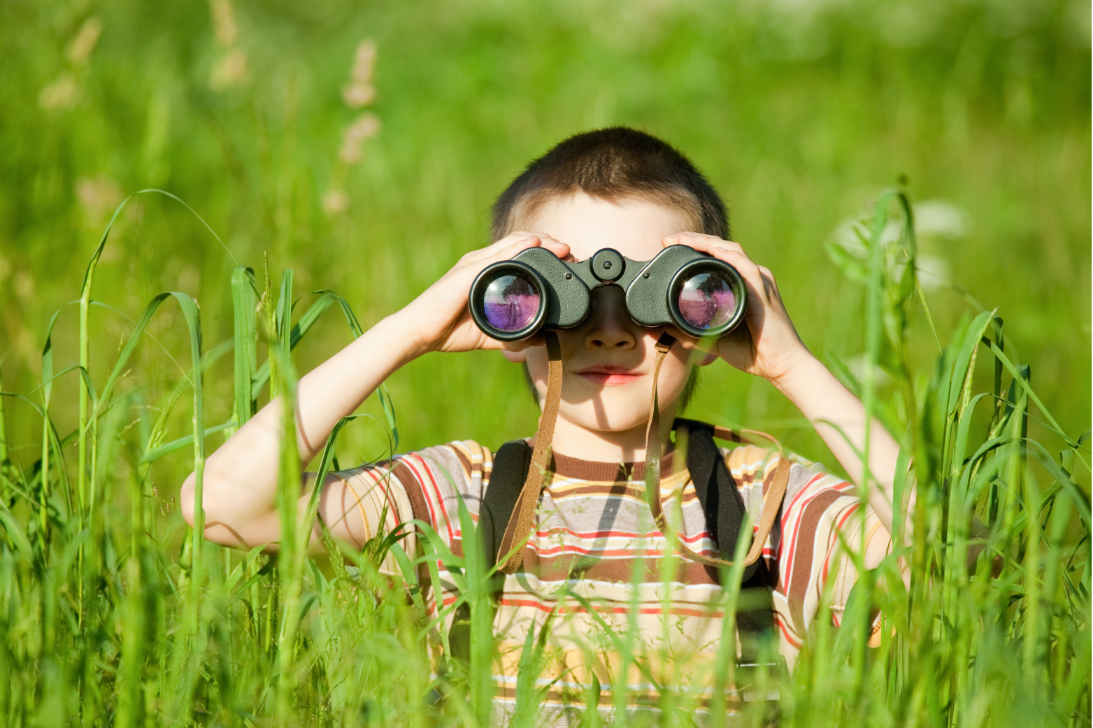 Summer Camp Program Theme