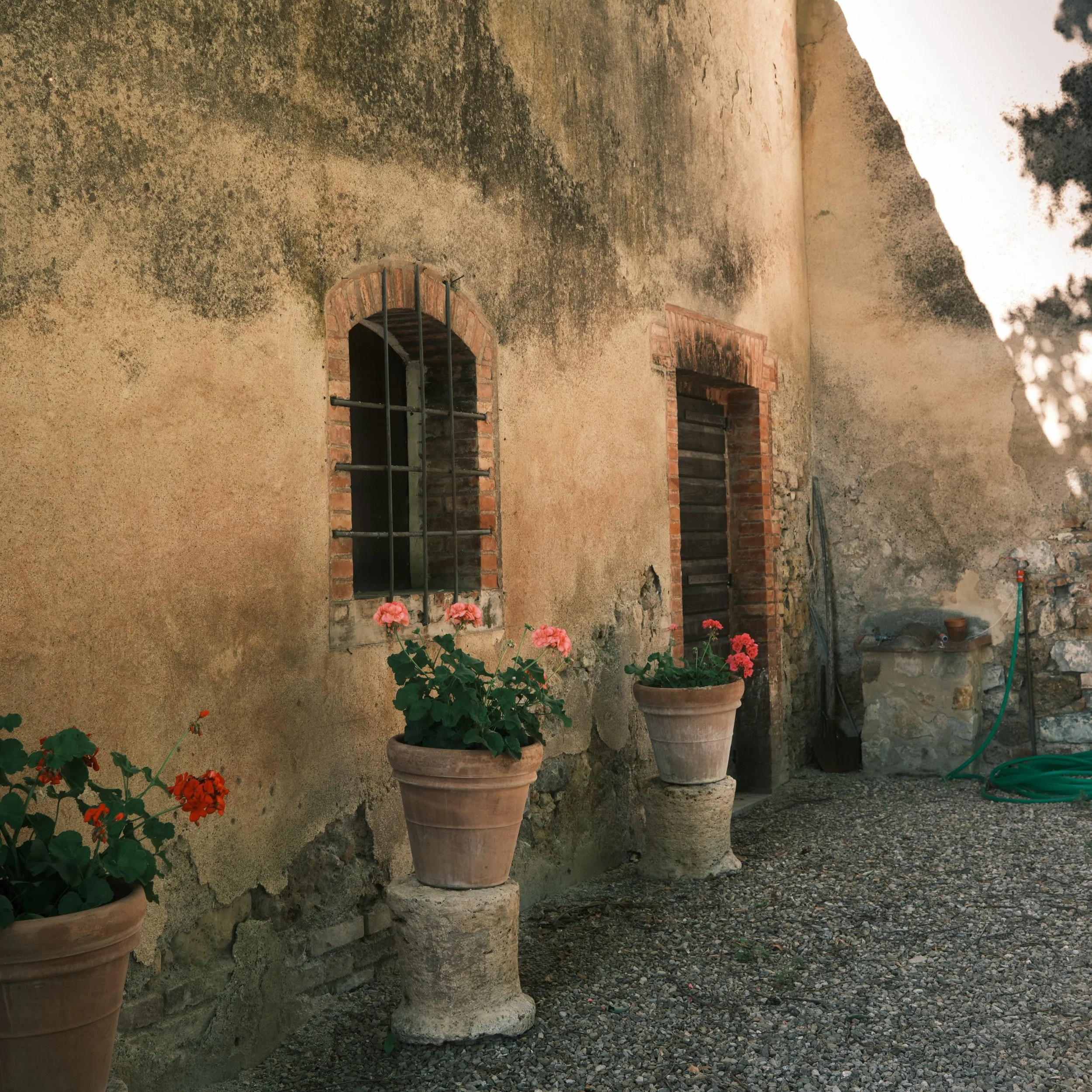 Postcards from Italy | Tuscany

Siena is the quintessential Italian countryside, with rolling hills, long gravel drives lined with cypress trees, vineyards, and beautiful views in every direction. 

We slowed things down with a wine tour, visiting tw