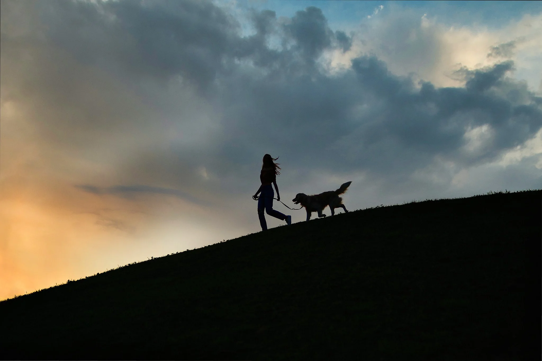 sunsets_seniors_golden retriever.jpg