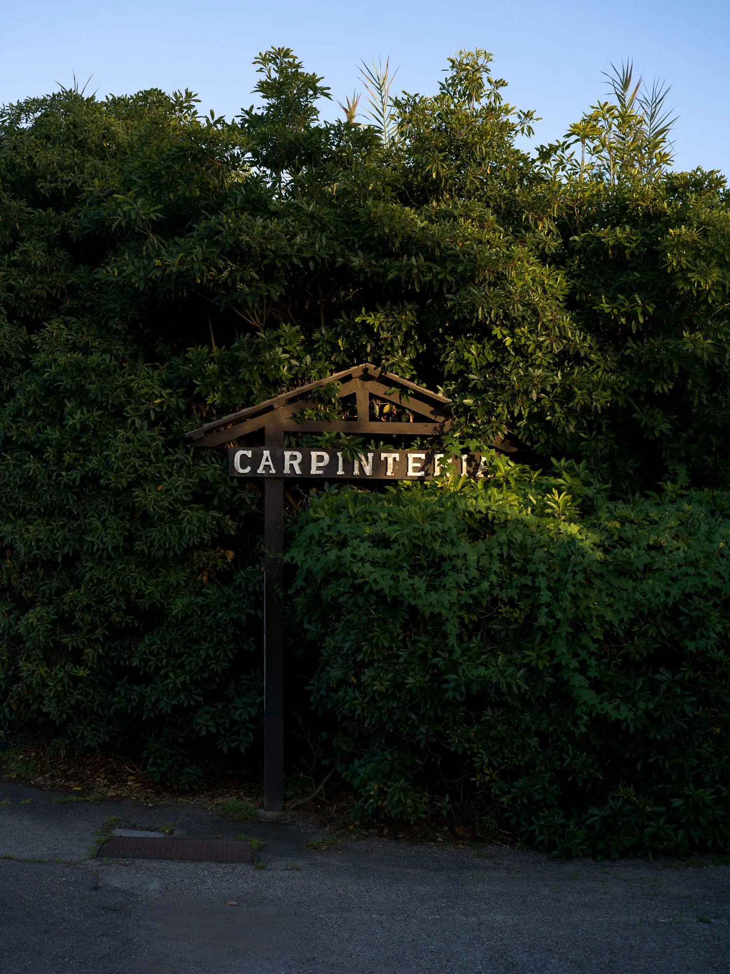 NYT Travel: Carpinteria