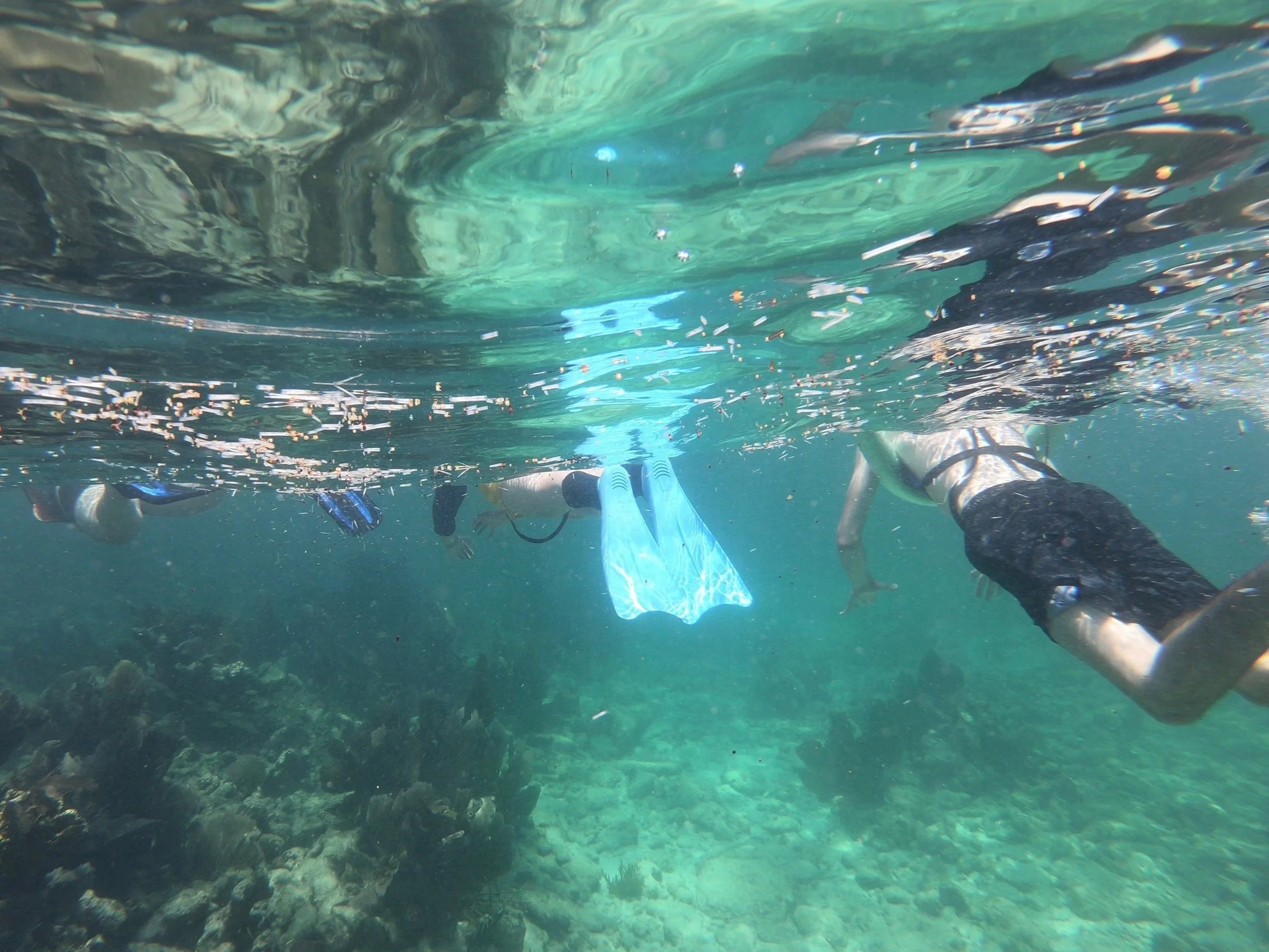 %2B+FLORIDA+2+Snorkel+%281%29.jpg
