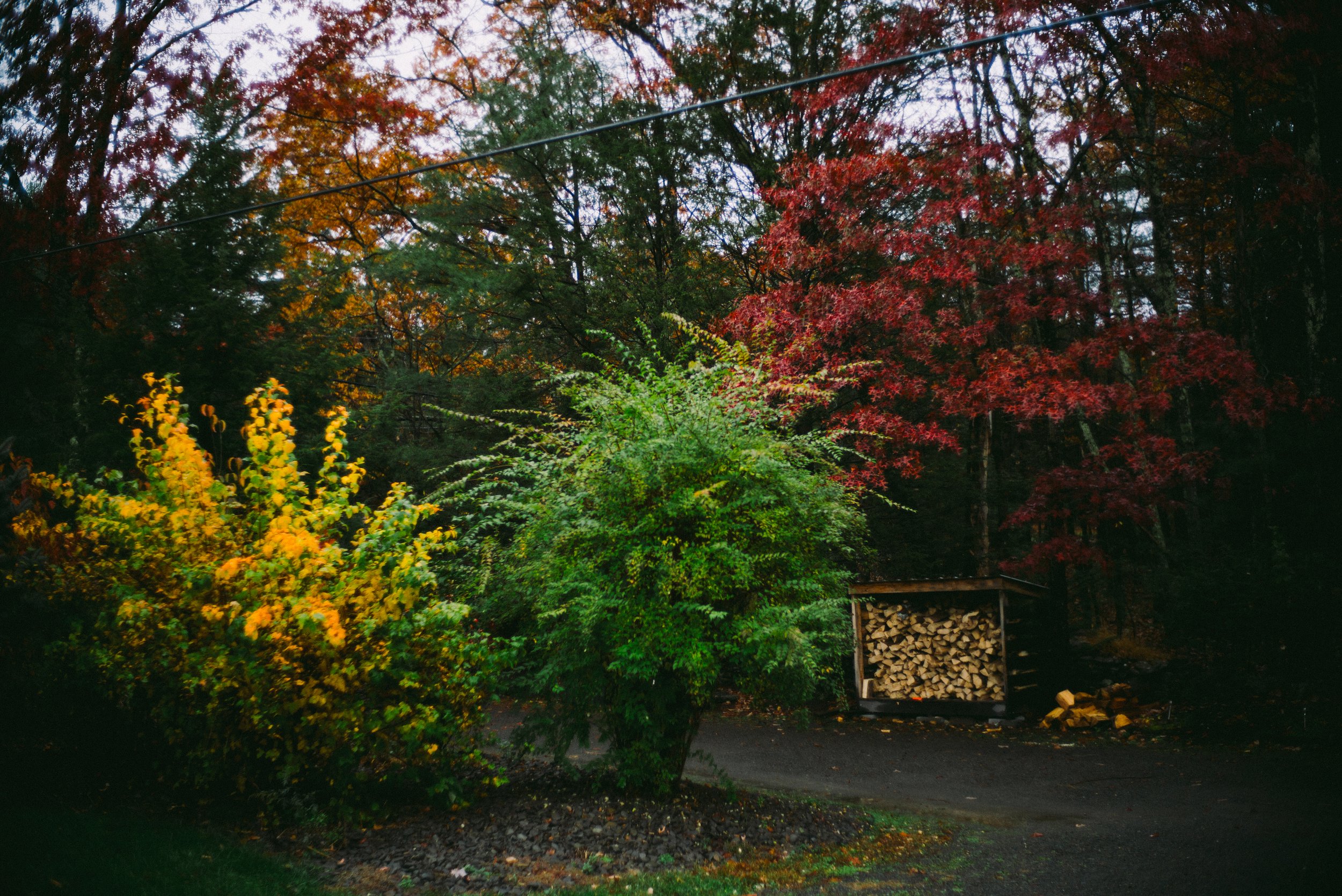 upstate cemetery-1001695.jpg