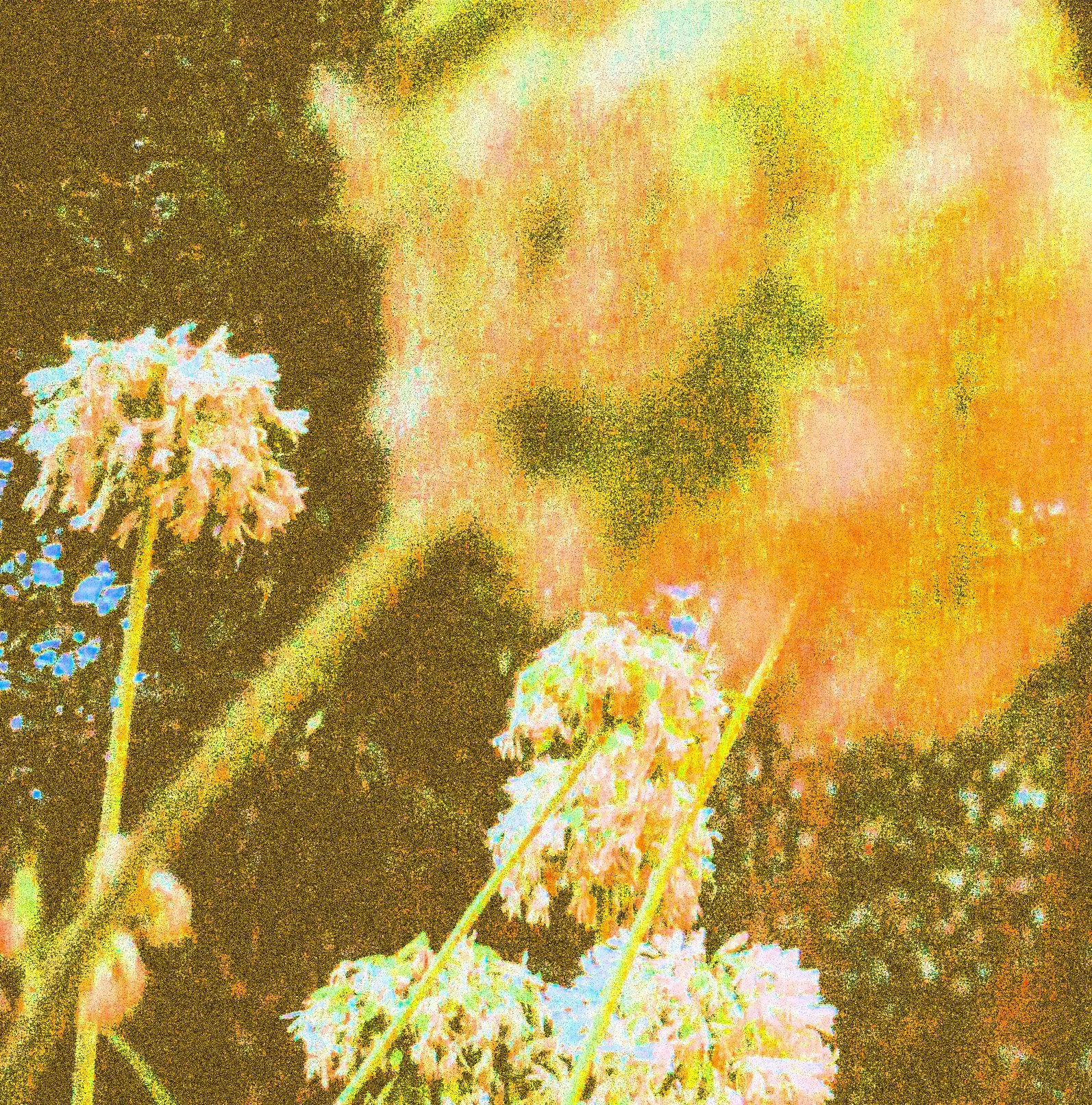 thoughts from the summer