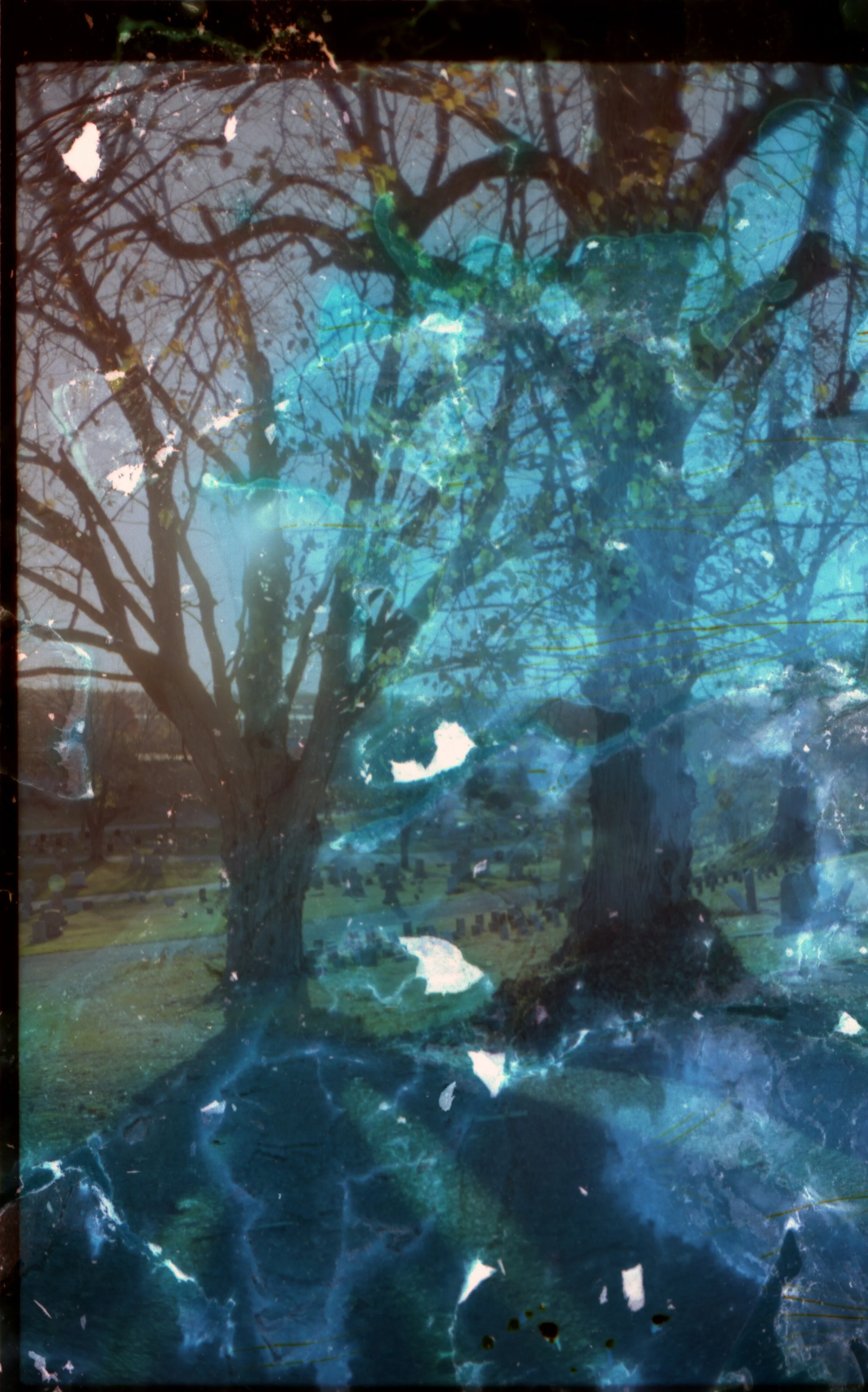 Compost and Alchemy