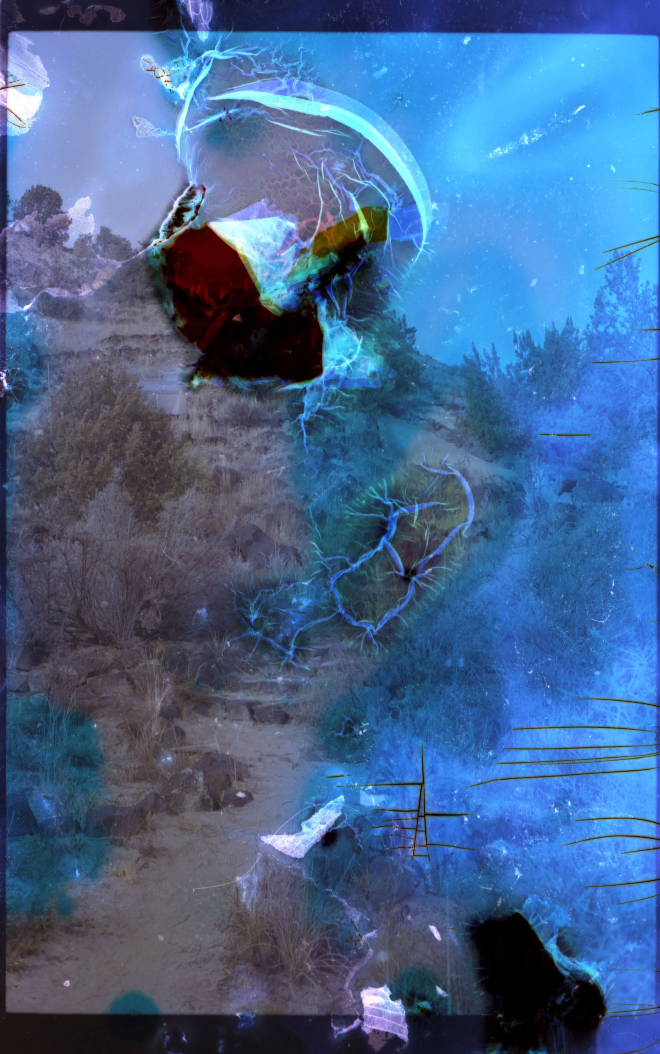 Fennell - Portra - trail copy.jpg
