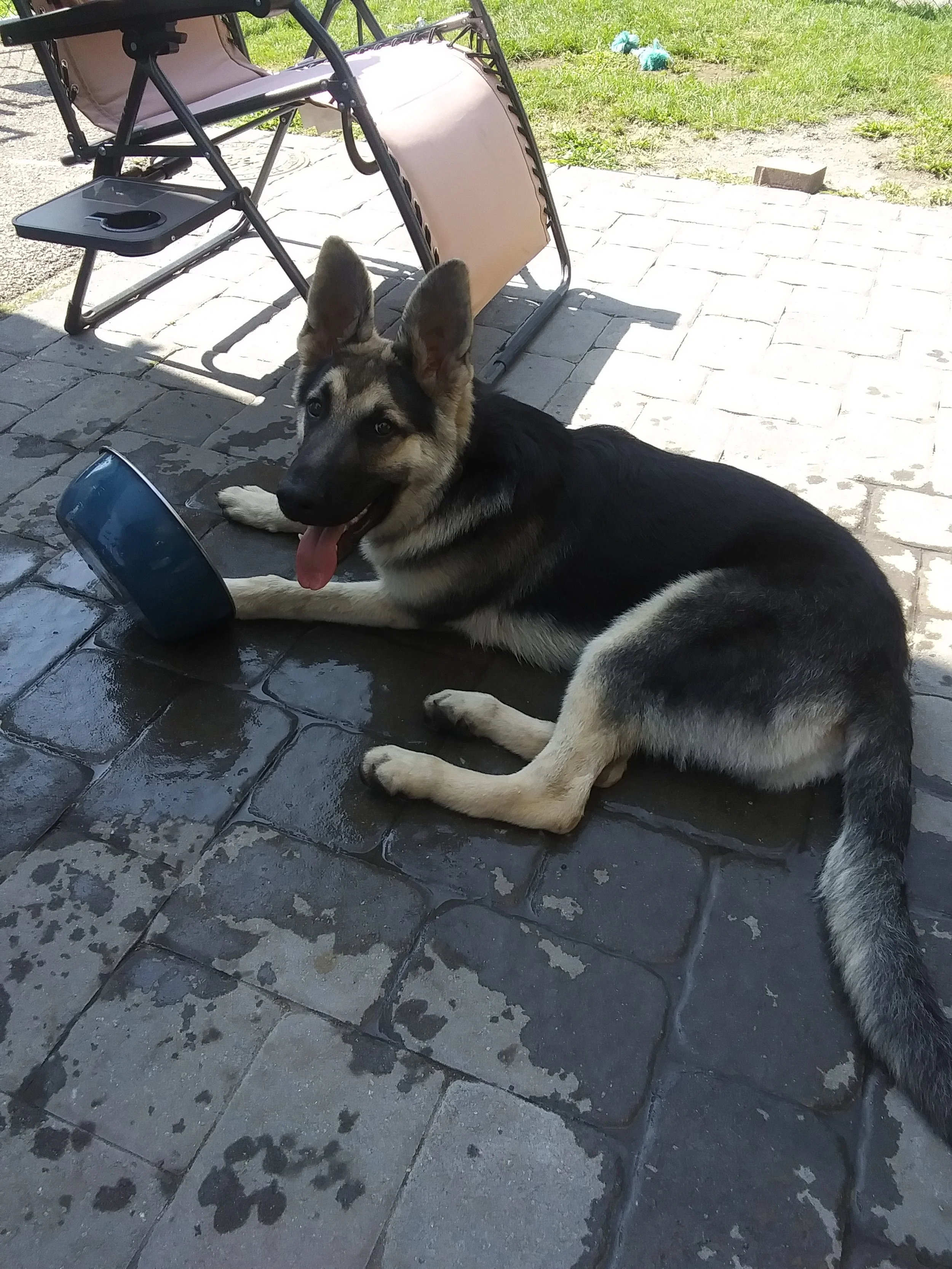 Reviews — REDBIRD RANCH