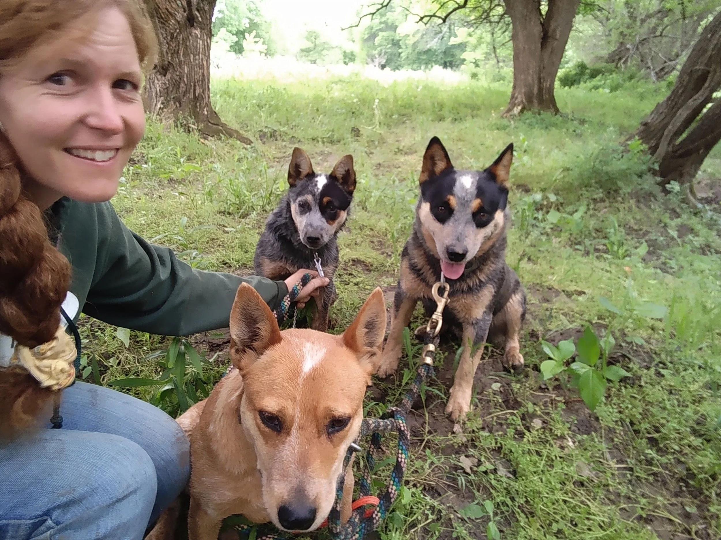 Heelers — REDBIRD RANCH