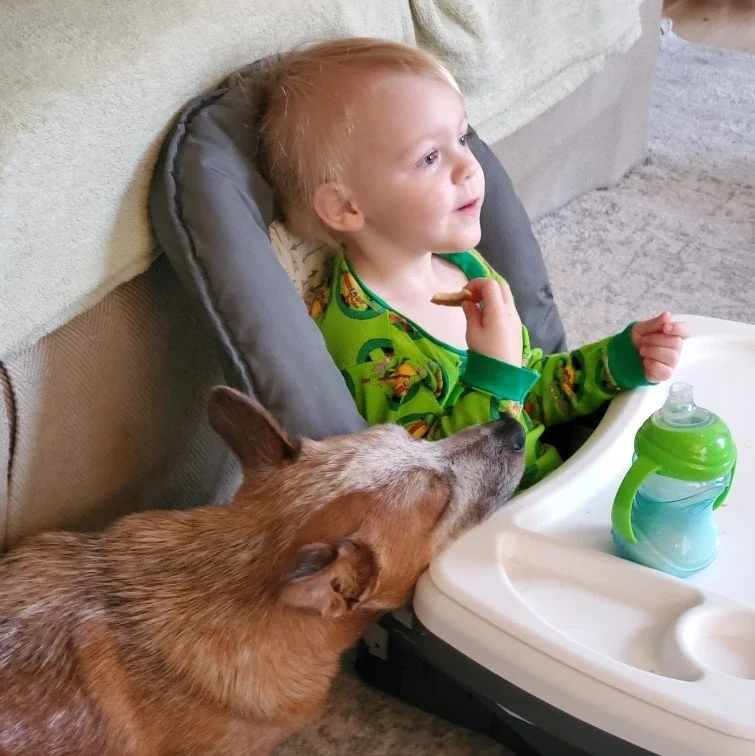 Pickett Family2.jpeg