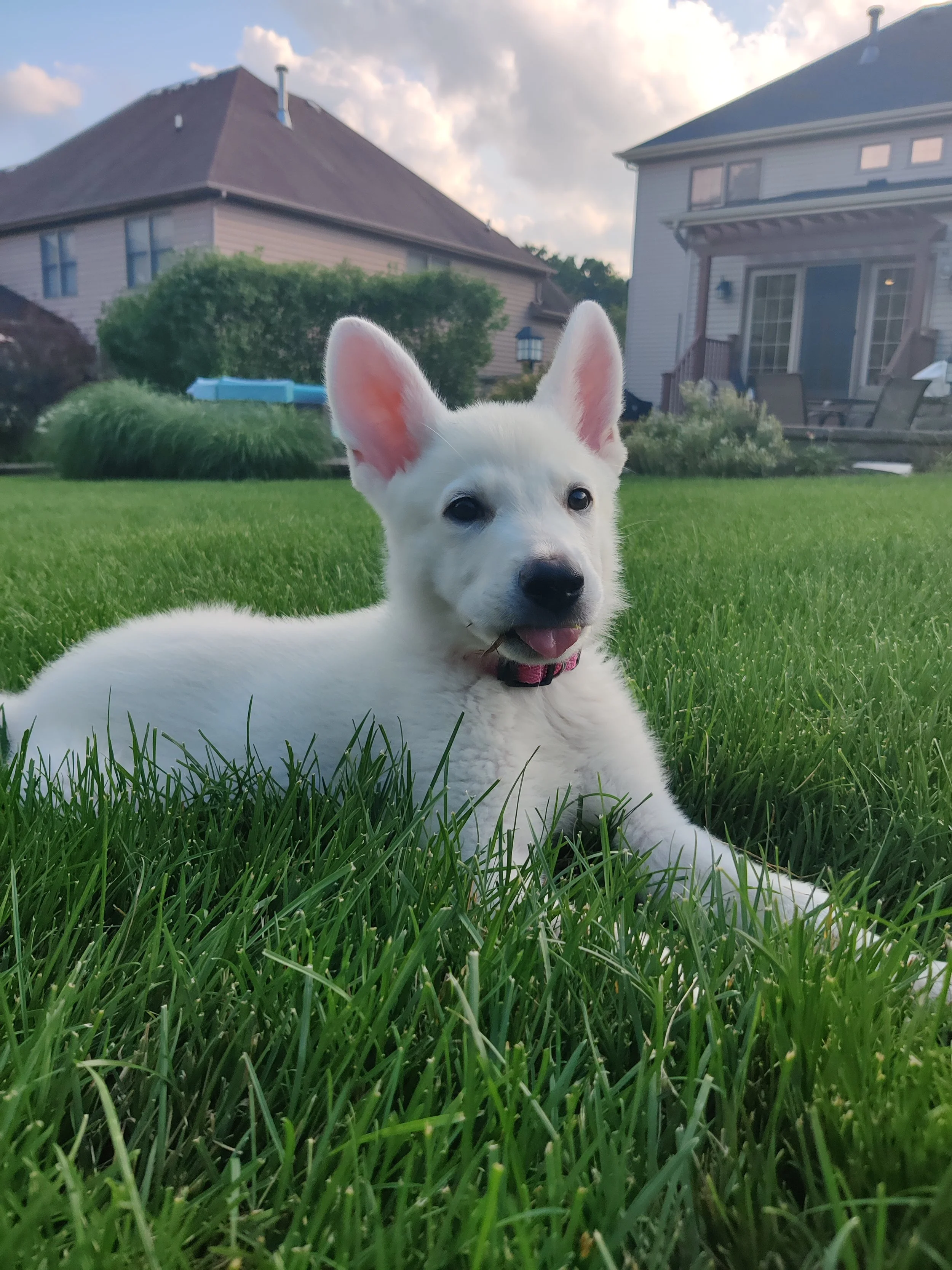 Reviews — REDBIRD RANCH