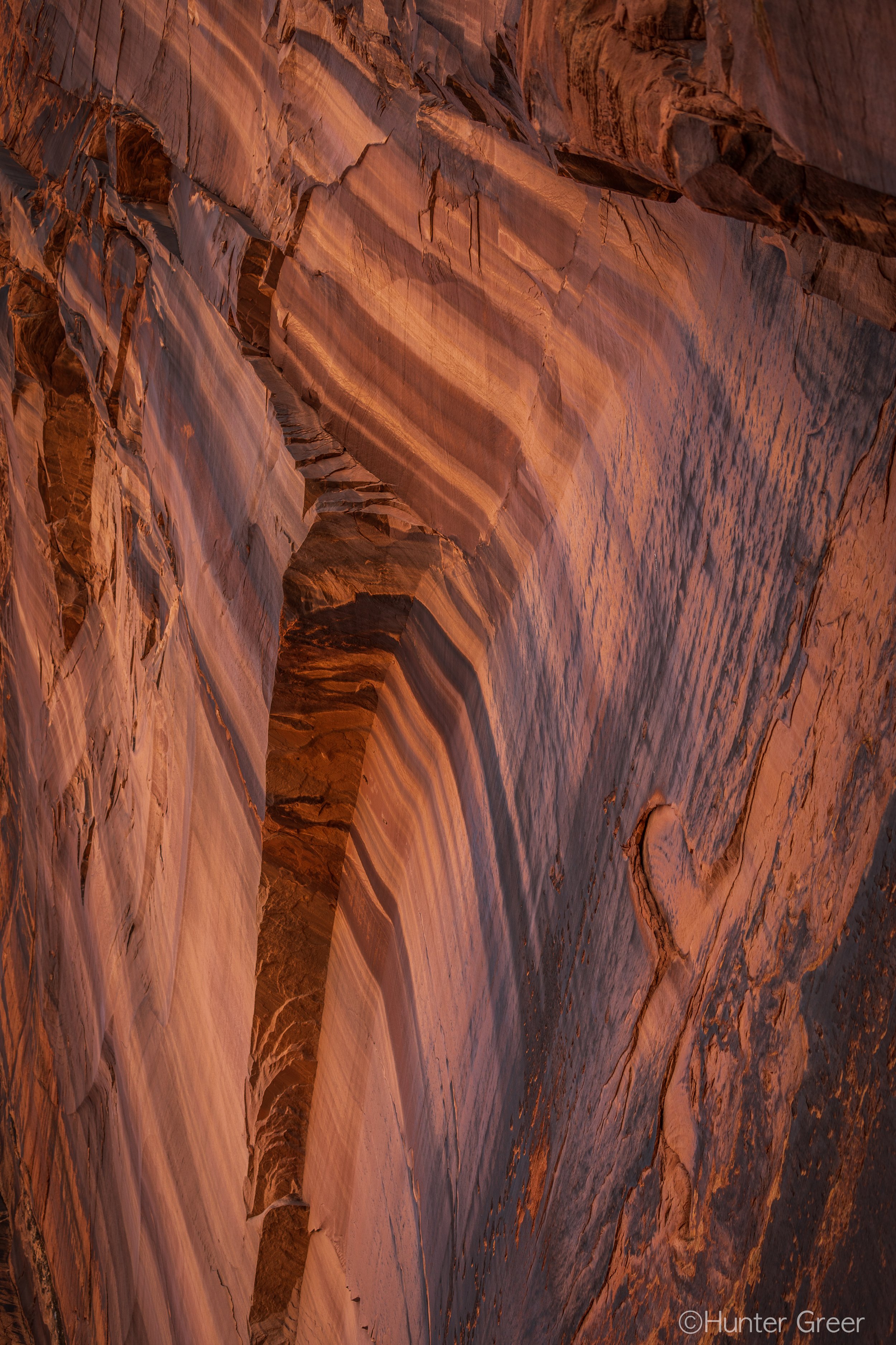 0N9A6596-2.jpg