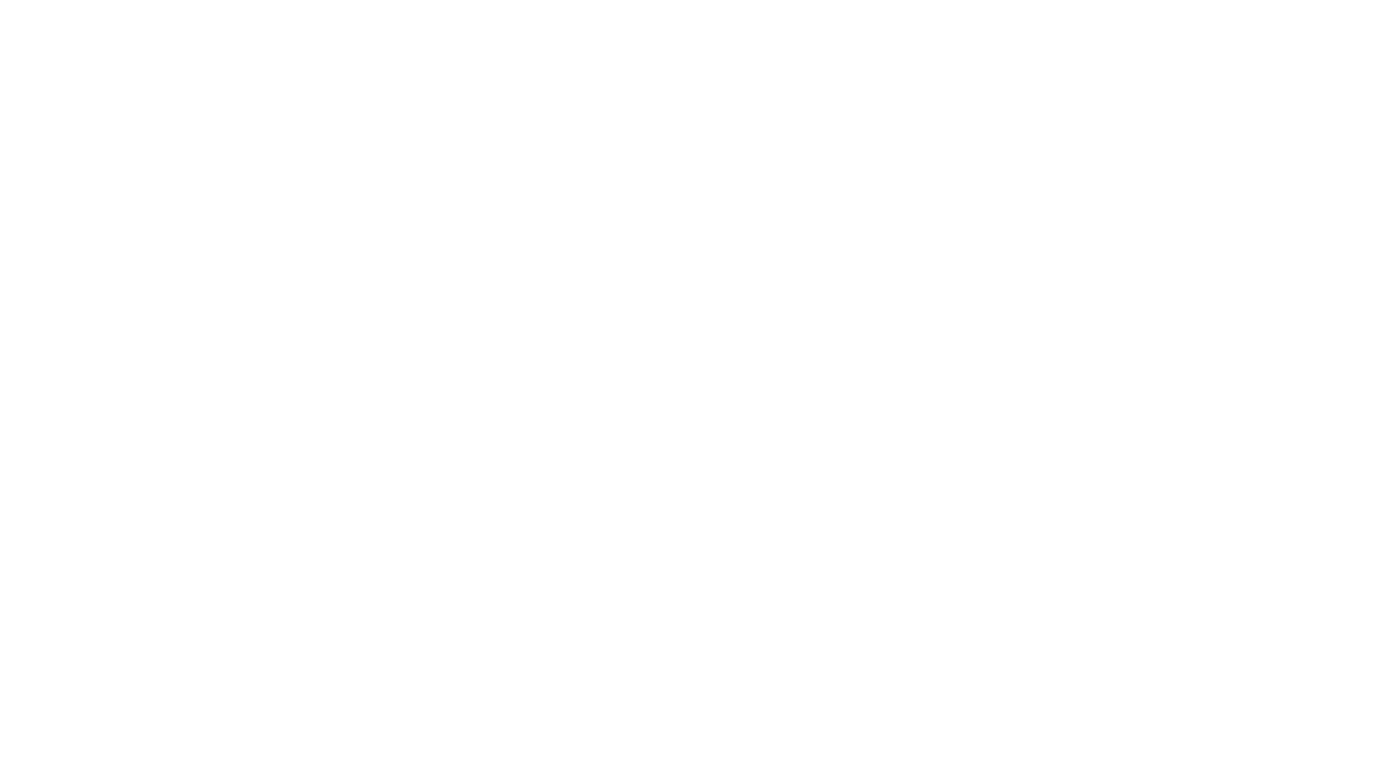 VOSS water logo
