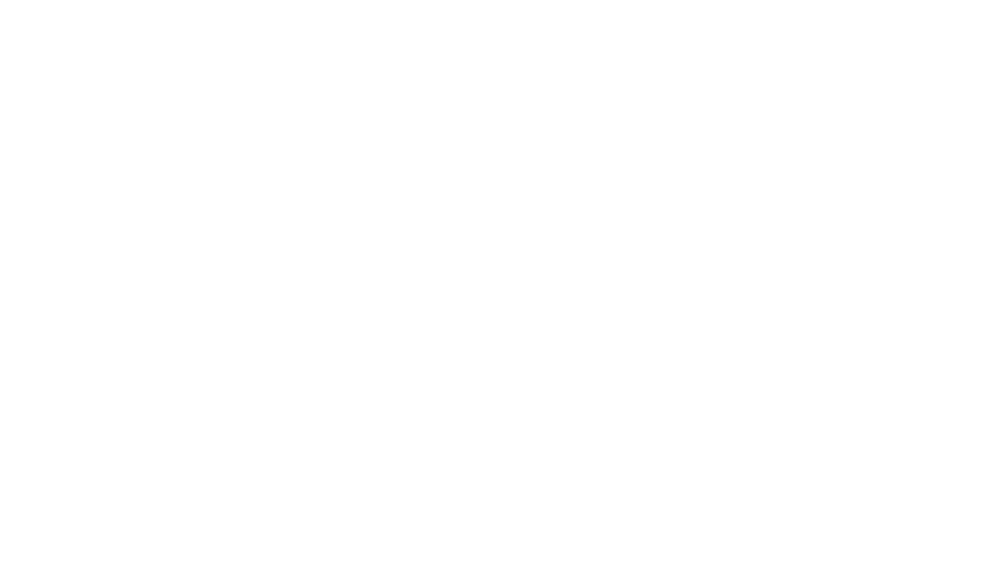 BOSTON BEER logo