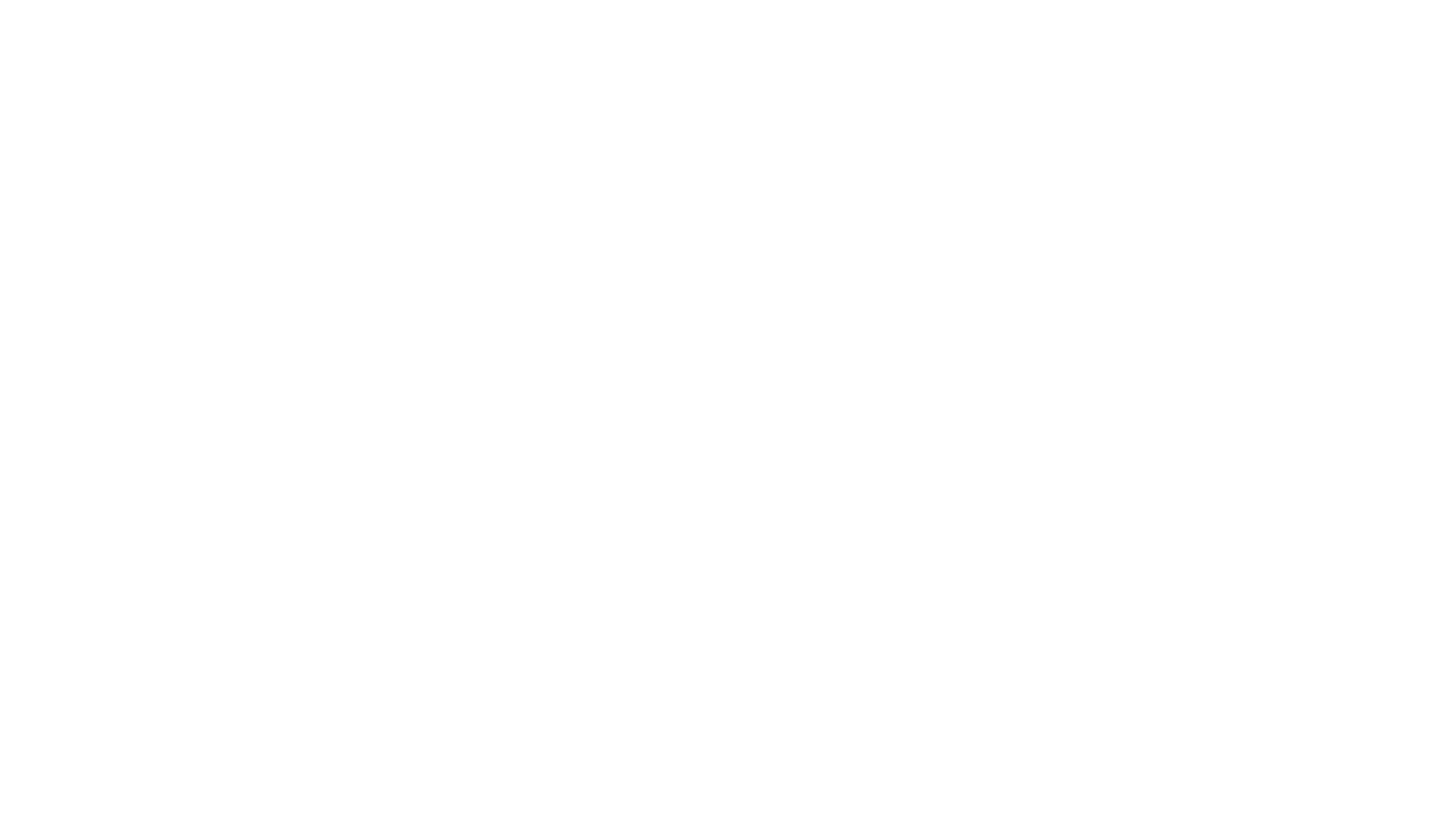 ally logo