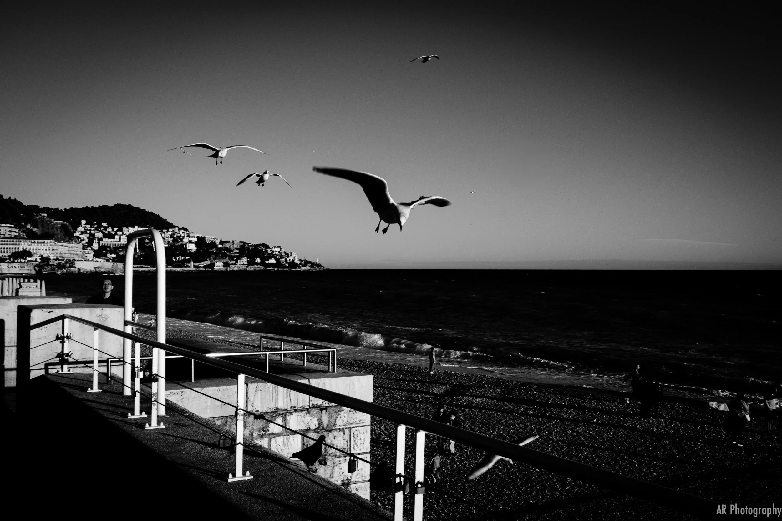 untitled-6.jpg