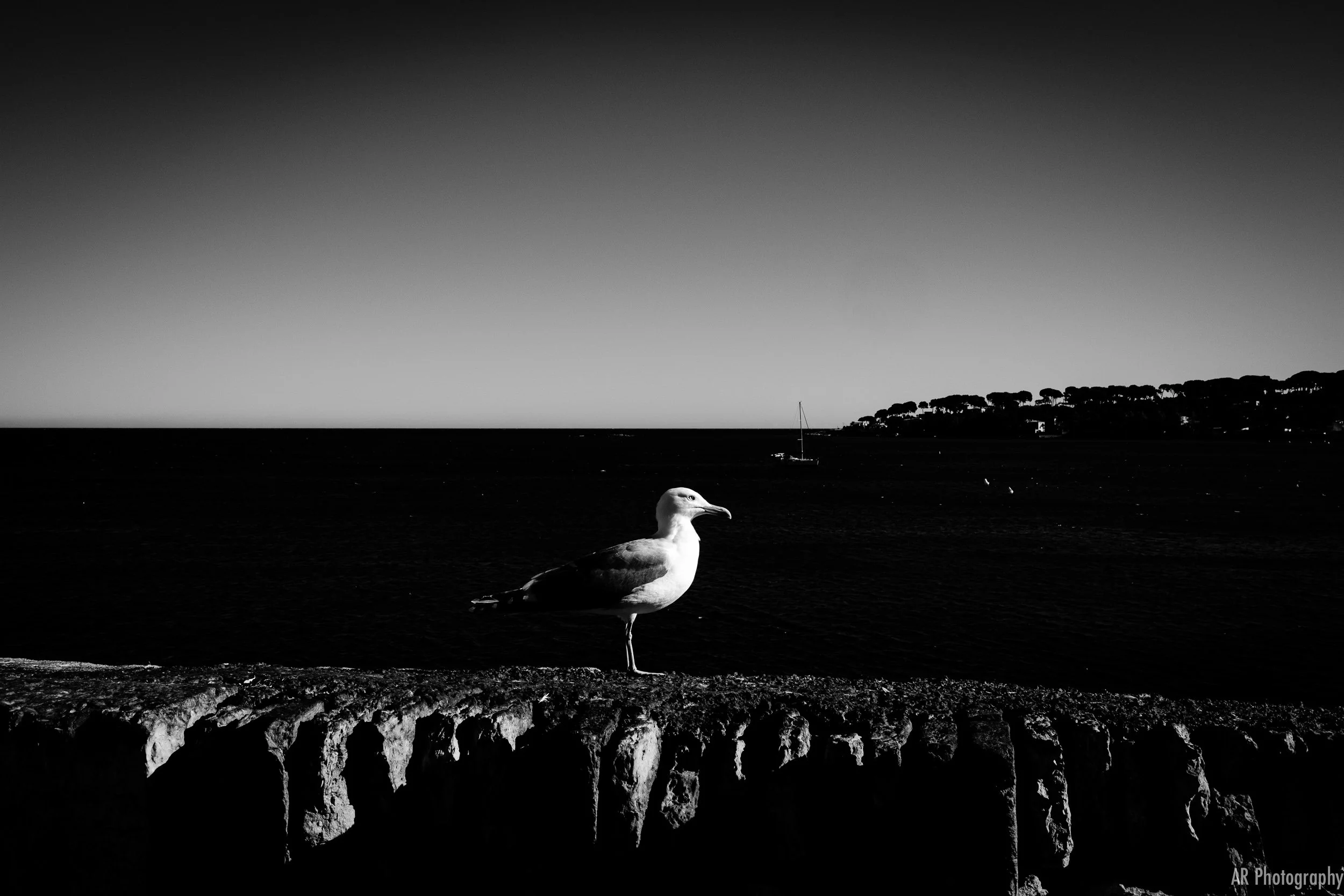 untitled-10.jpg