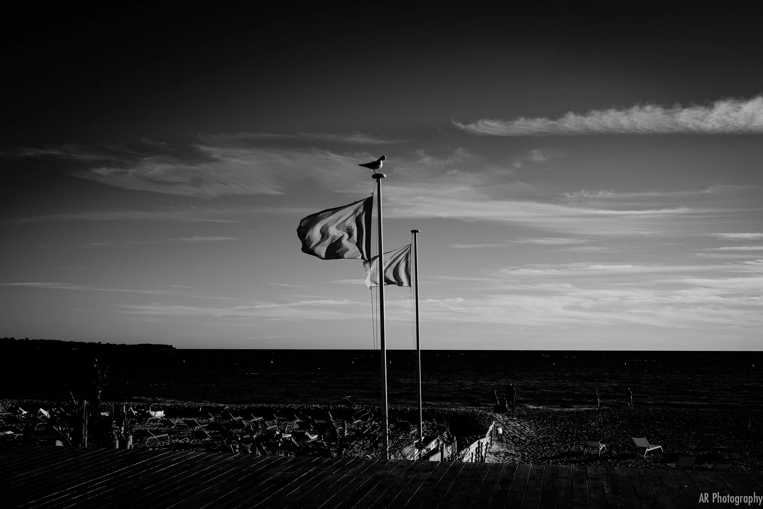 untitled-13.jpg