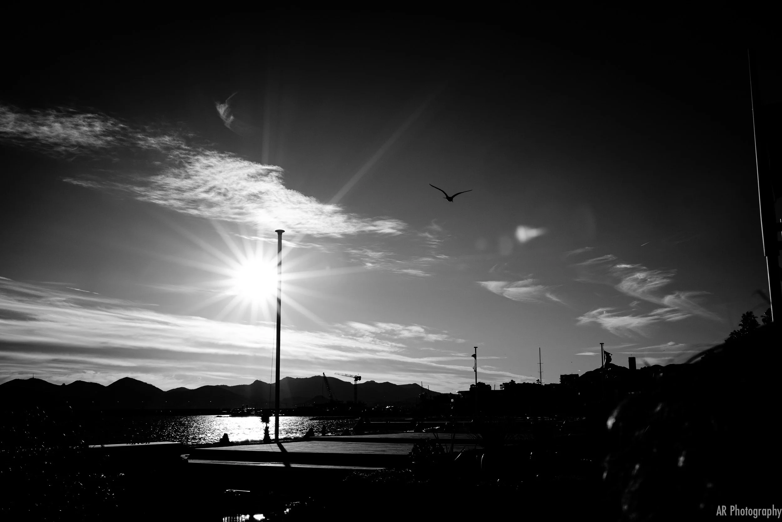 untitled-15.jpg