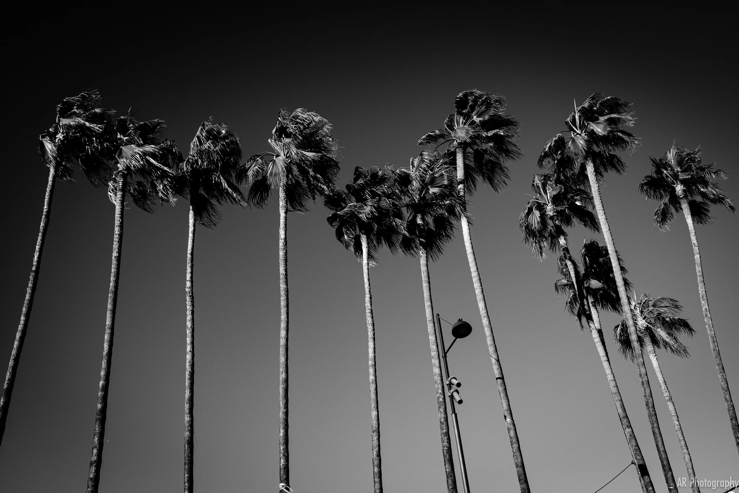 French Riviera - Travelogue