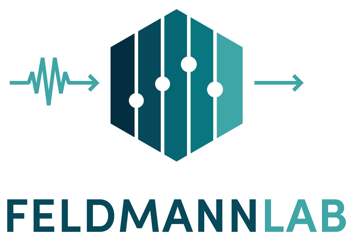 Feldmann Lab at Harvard