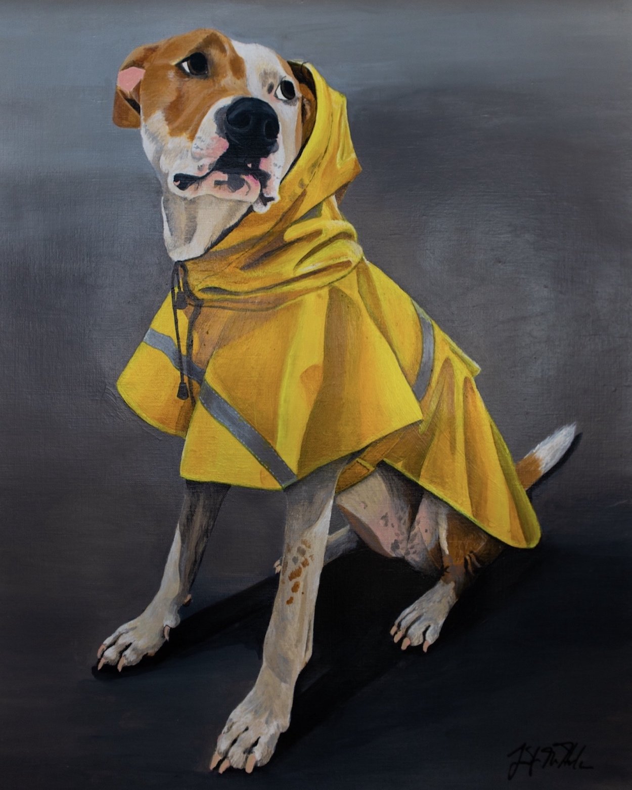 Saddest Dog in the World.jpg