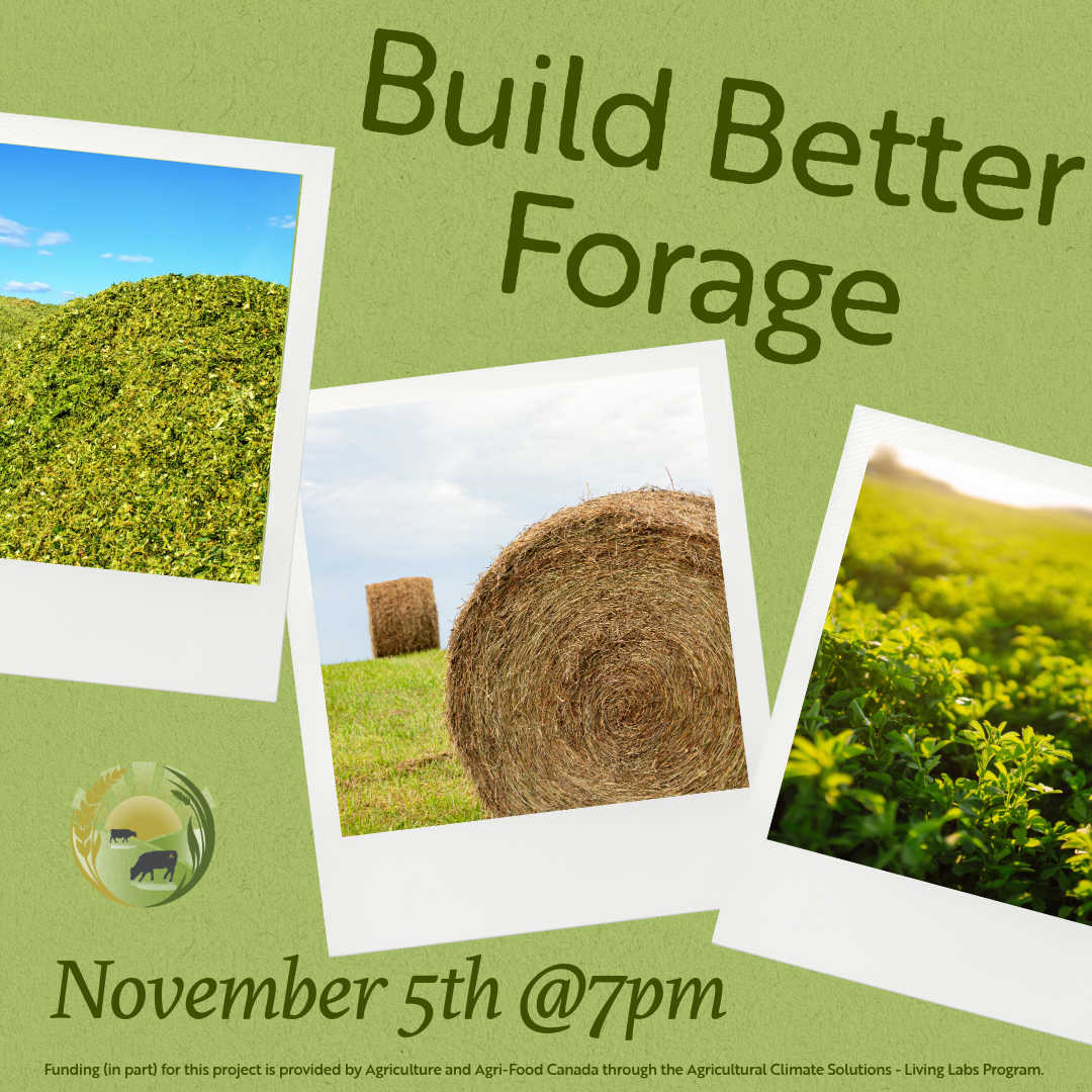 Get Growing! How to increase sustainable forage production and quality.