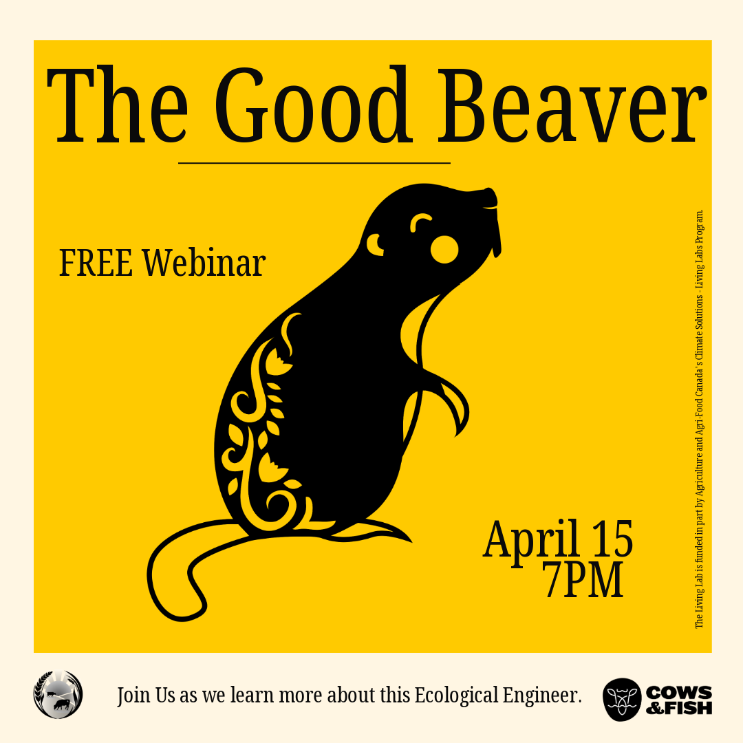 The Good Beaver