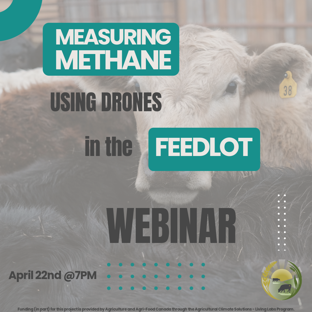 Measuring Methane Emissions from Feedlots Using UAVs