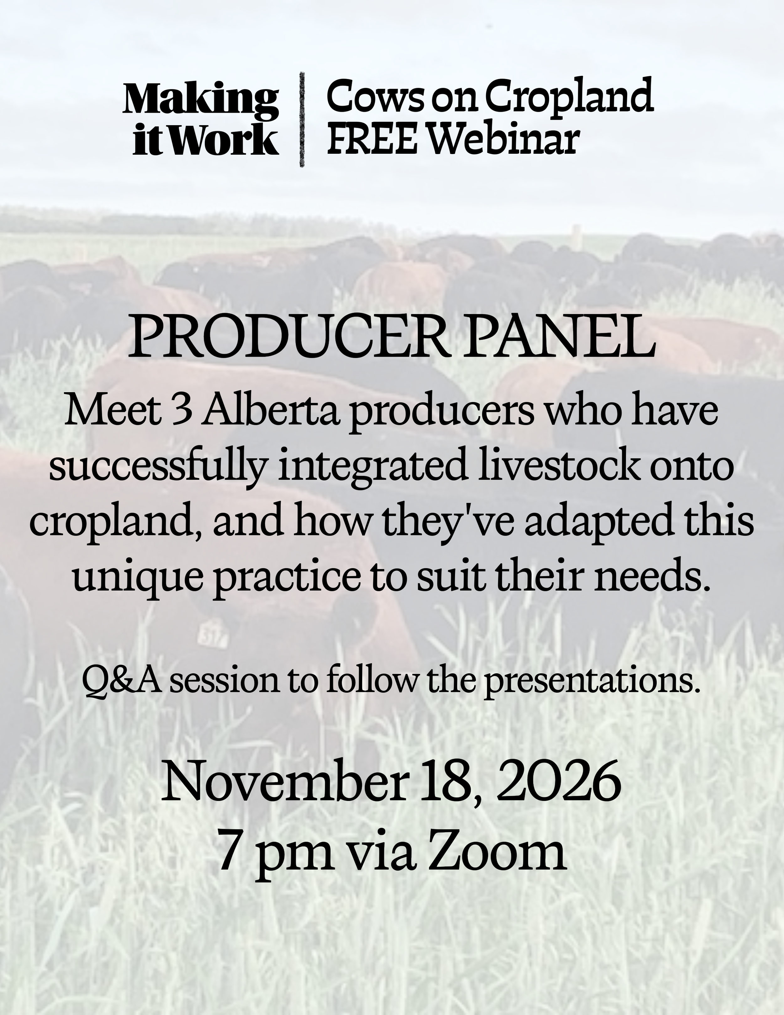Producer Panel: Cows on Cropland
