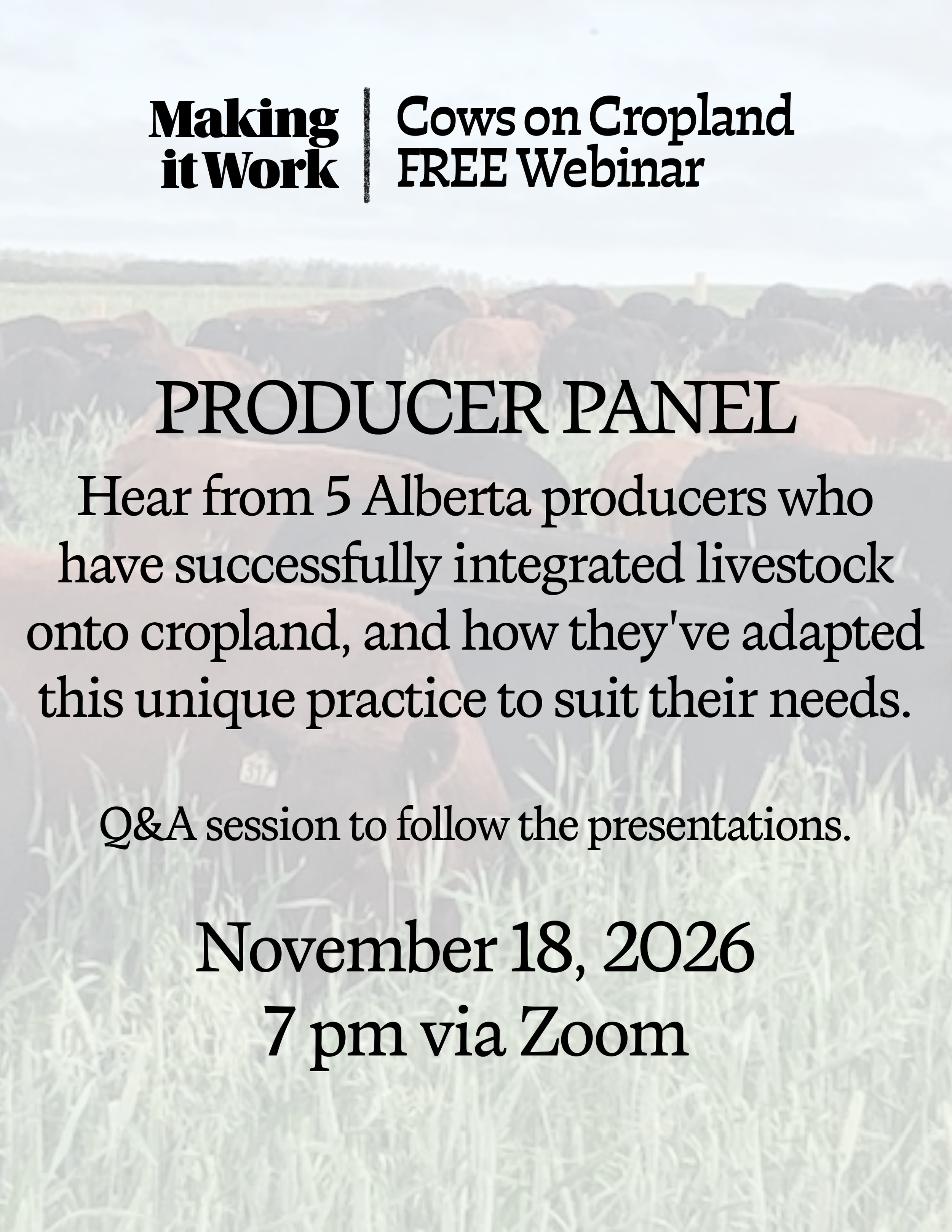Producer Panel: Cows on Cropland