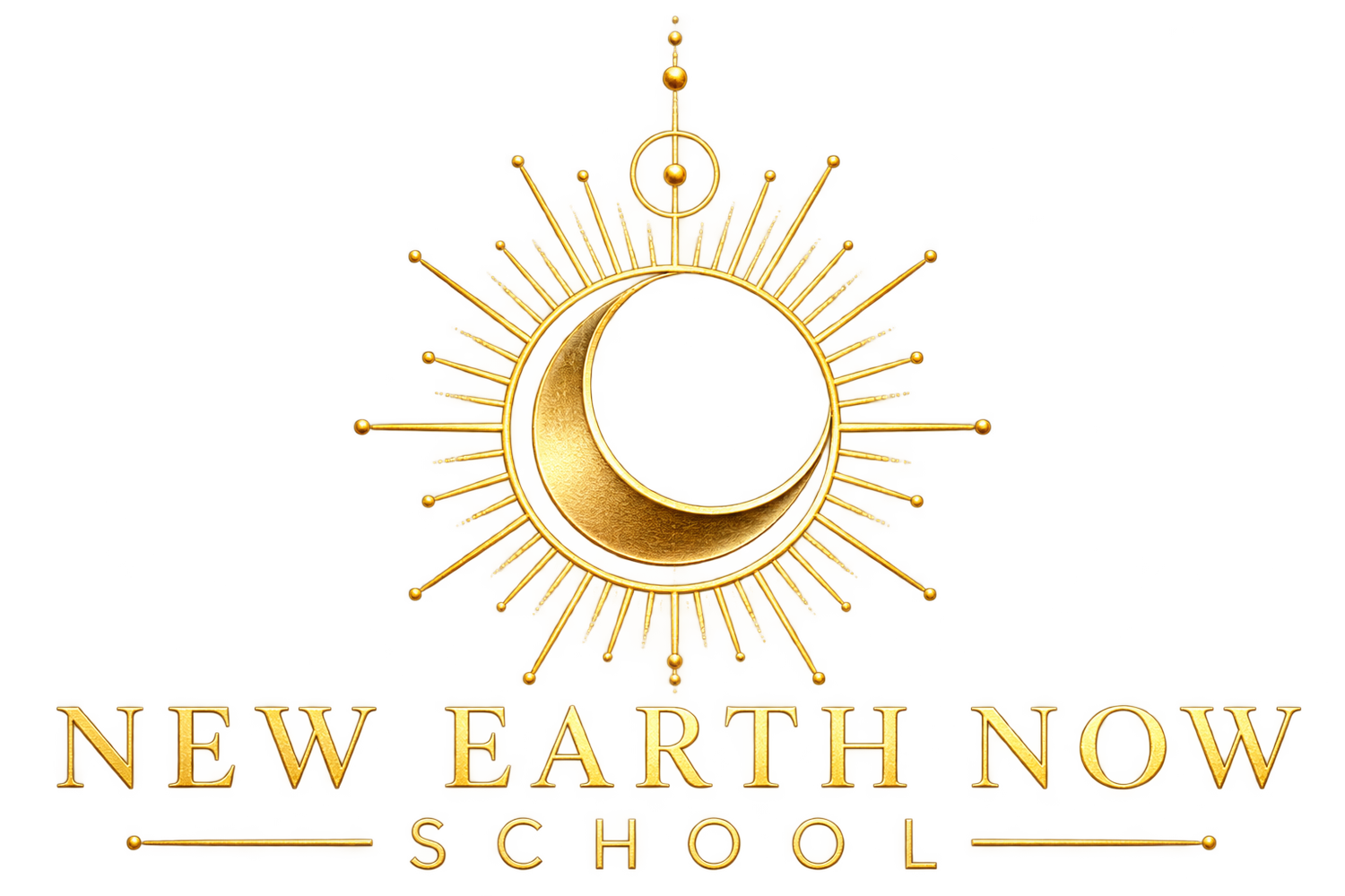 New Earth Now School