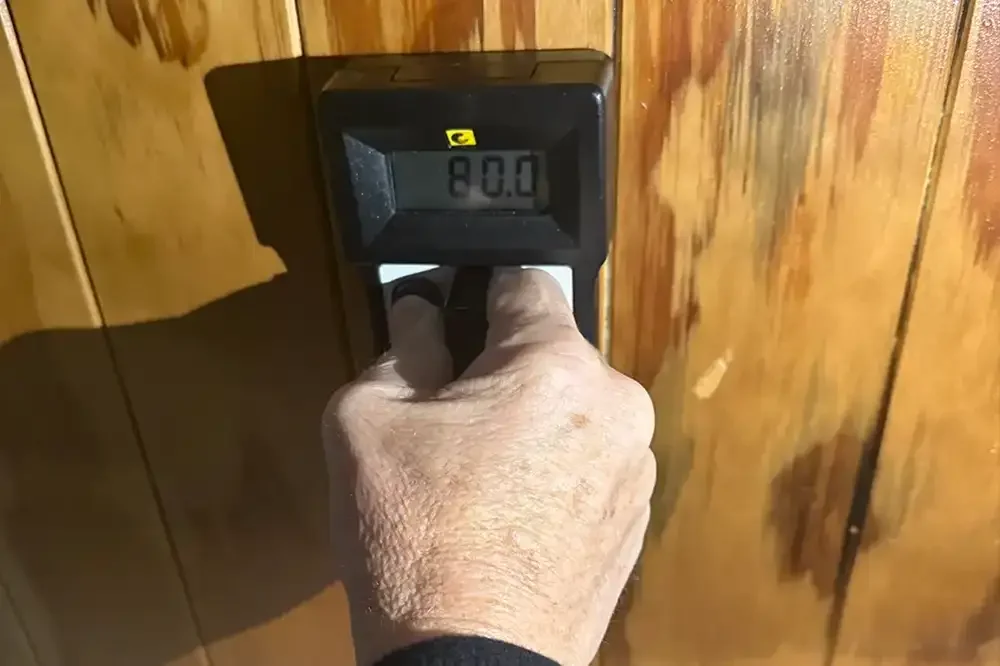 Mould and Moisture Assessments