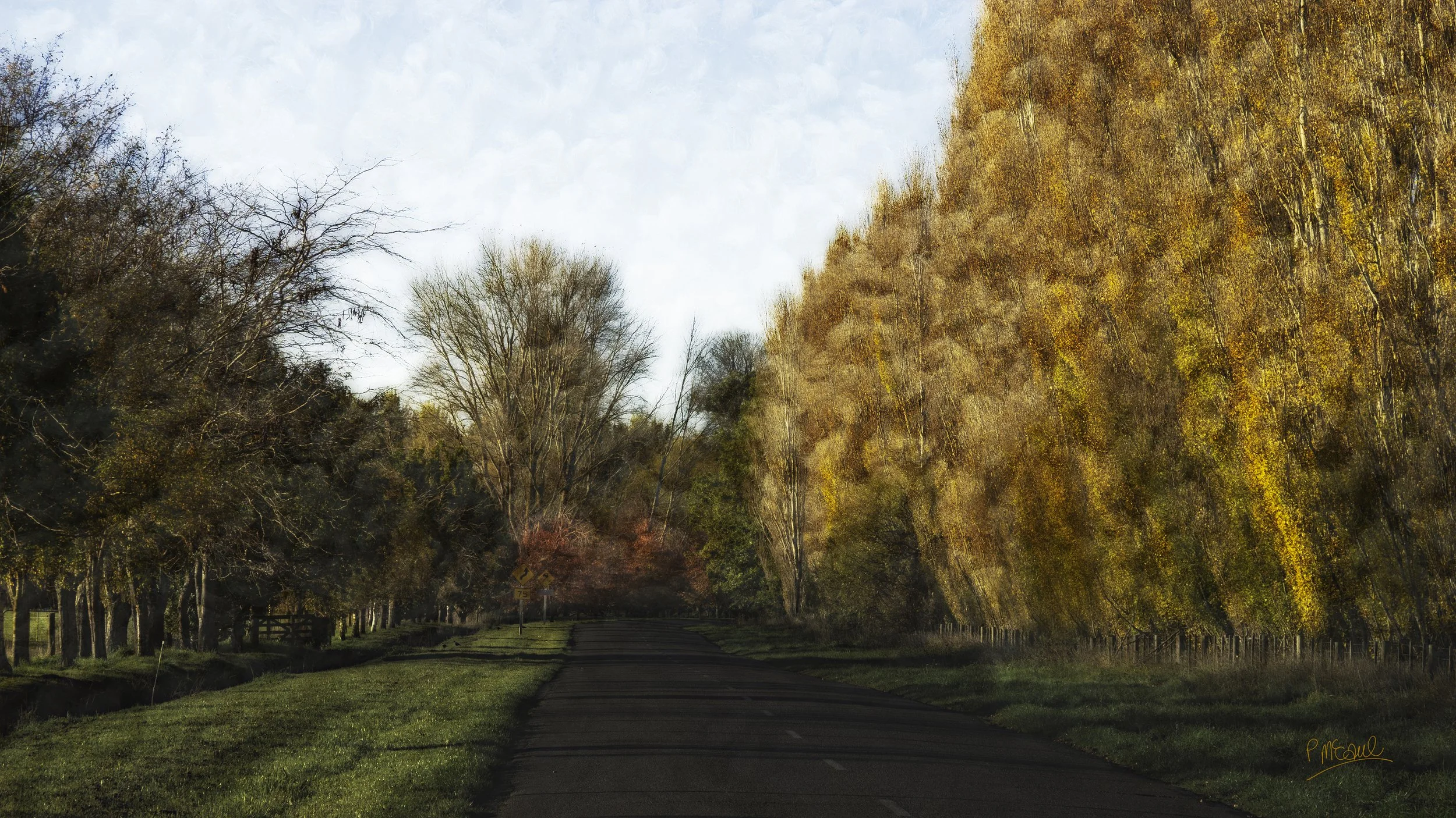 The Road to Coes Ford, Selwyn NZ
