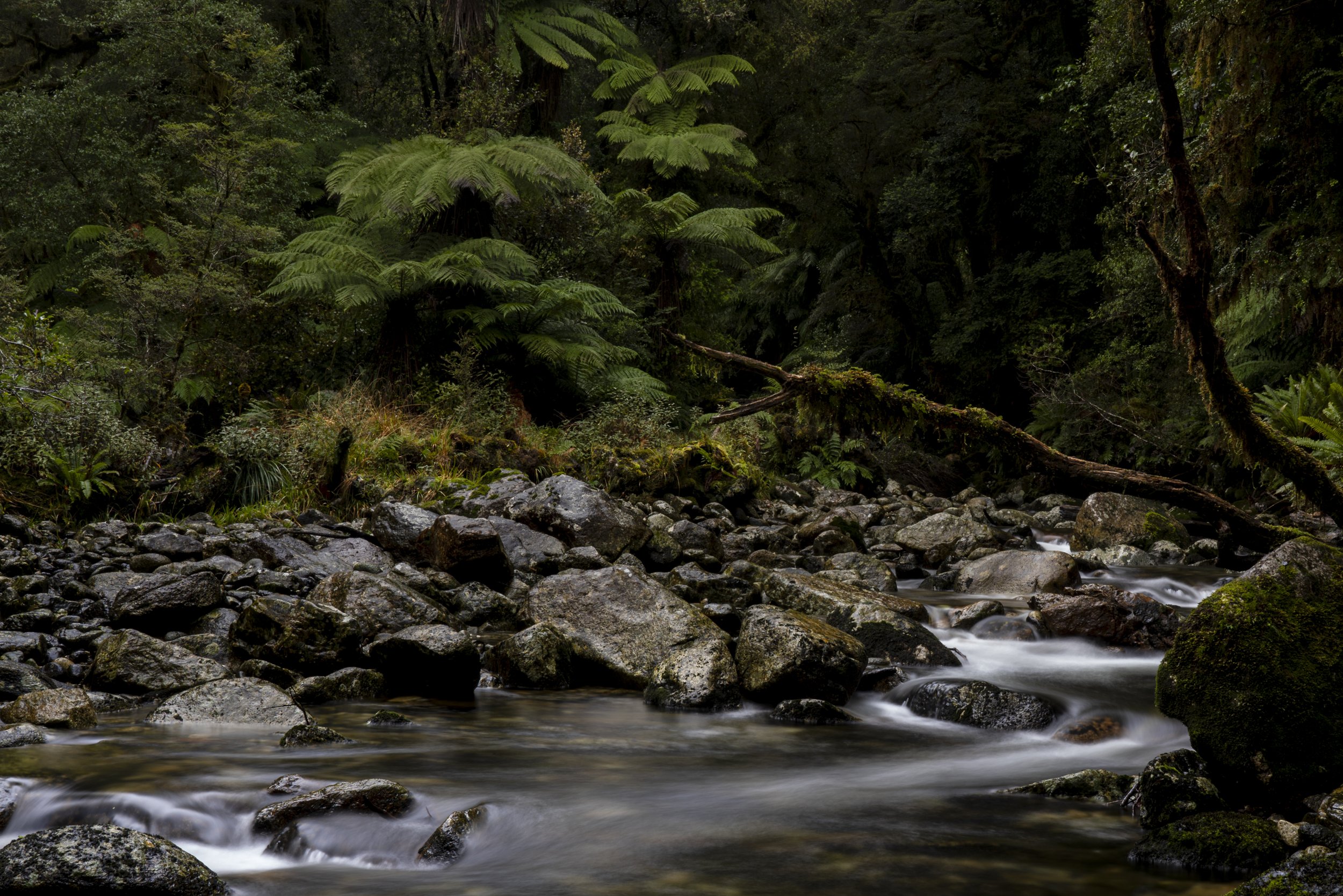 White Water, Dusky Sound NZ