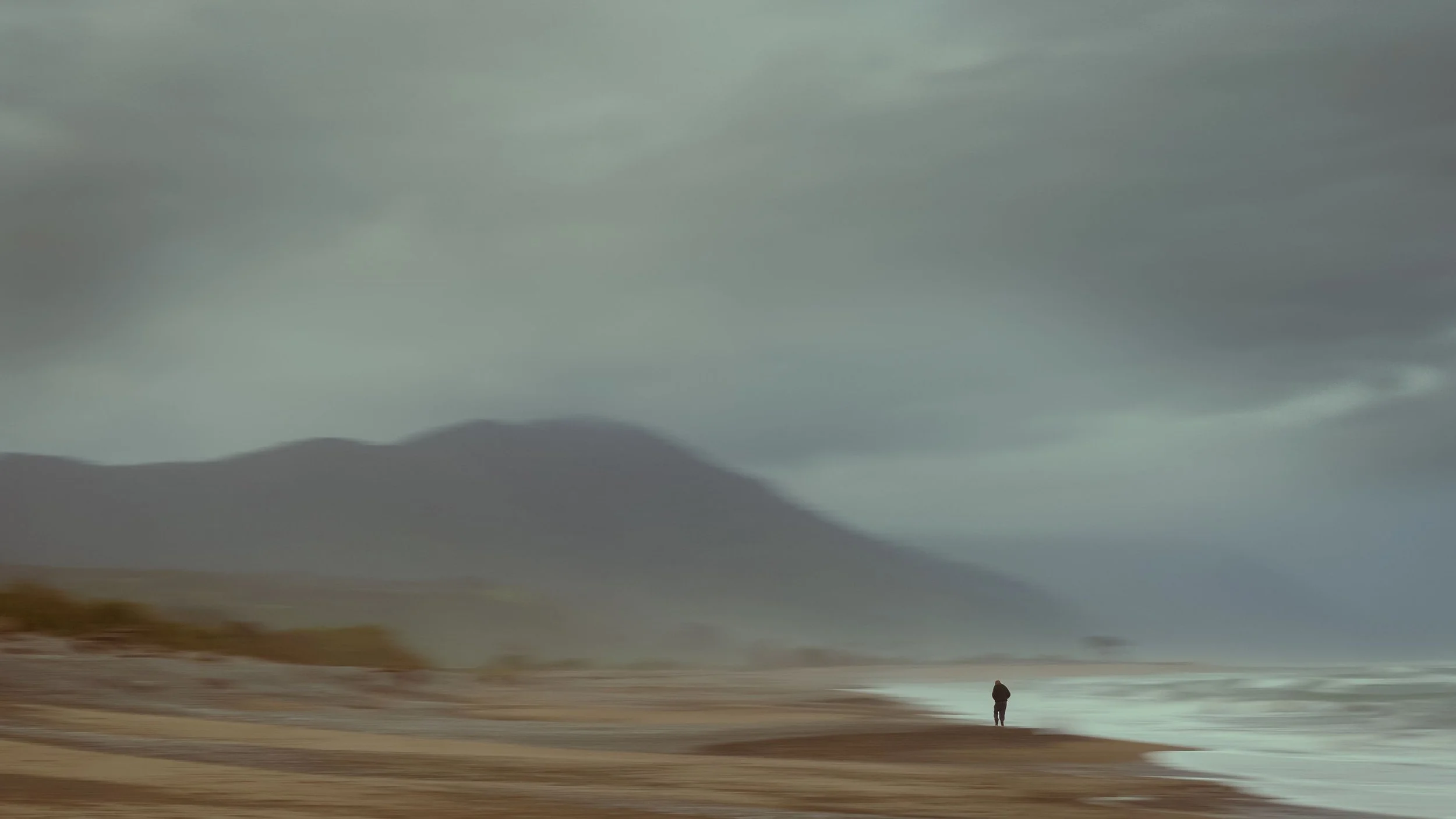 The Windswept Fossiker, Mokihinui NZ