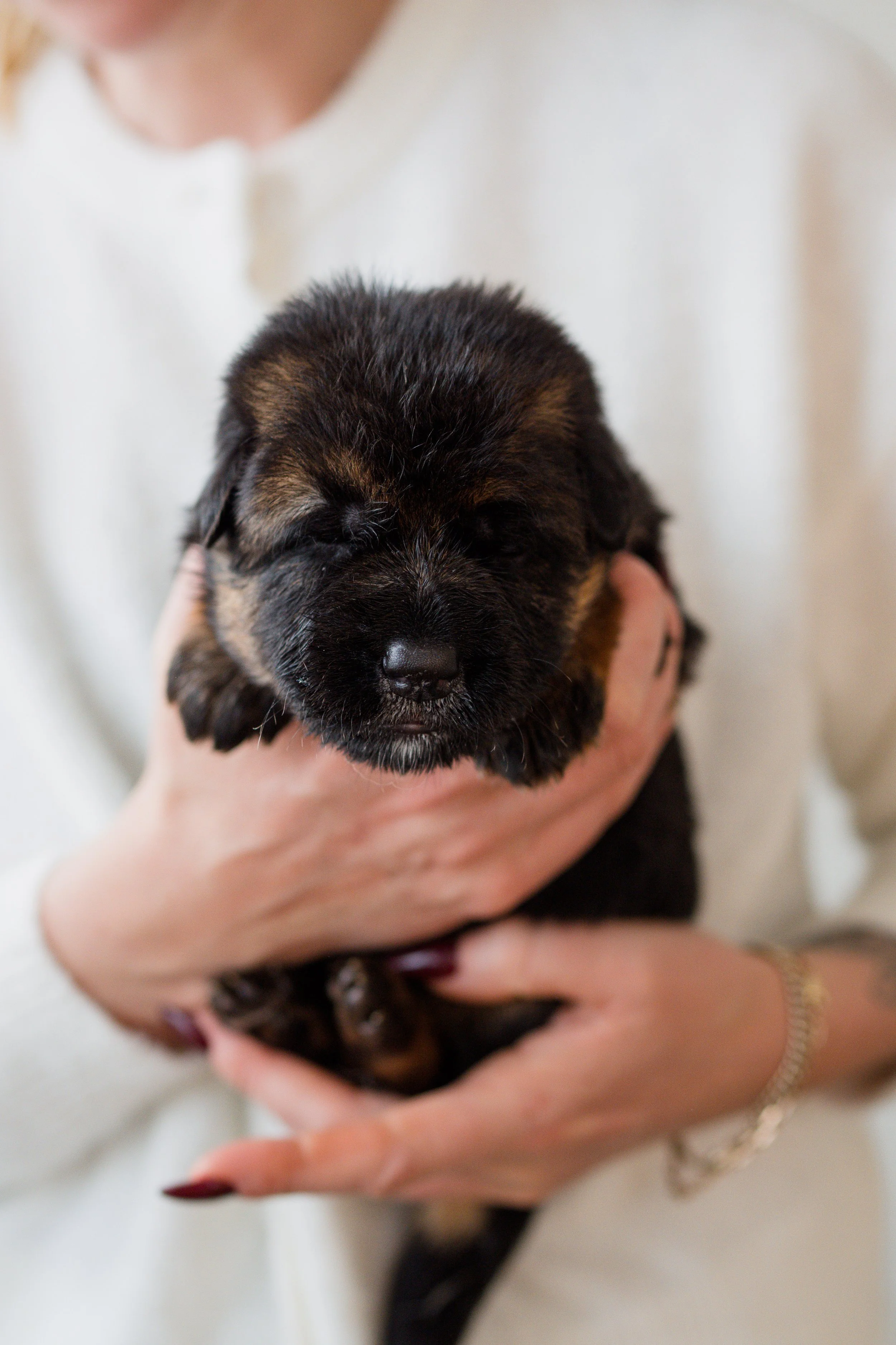 Filo-22.jpg